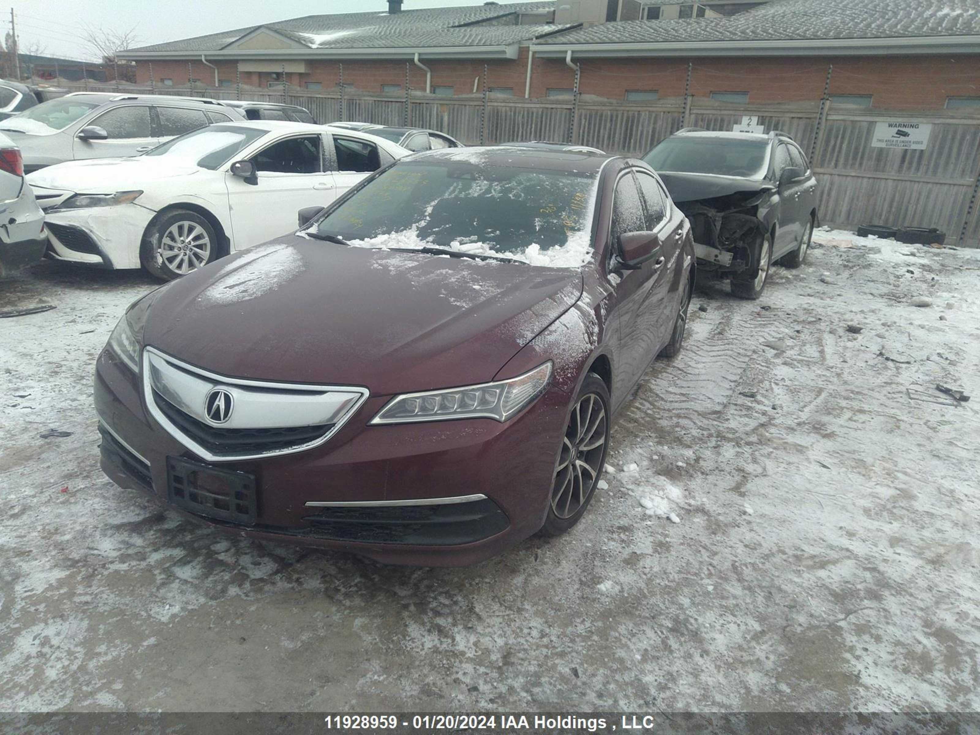 Photo 1 VIN: 19UUB3F59FA800901 - ACURA TLX 