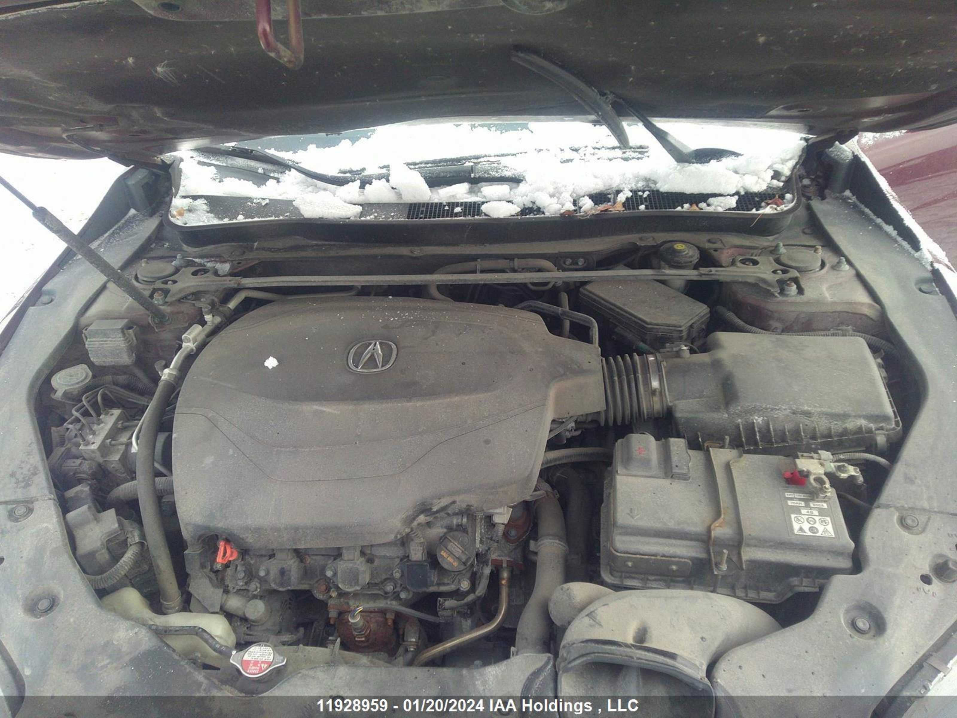 Photo 9 VIN: 19UUB3F59FA800901 - ACURA TLX 