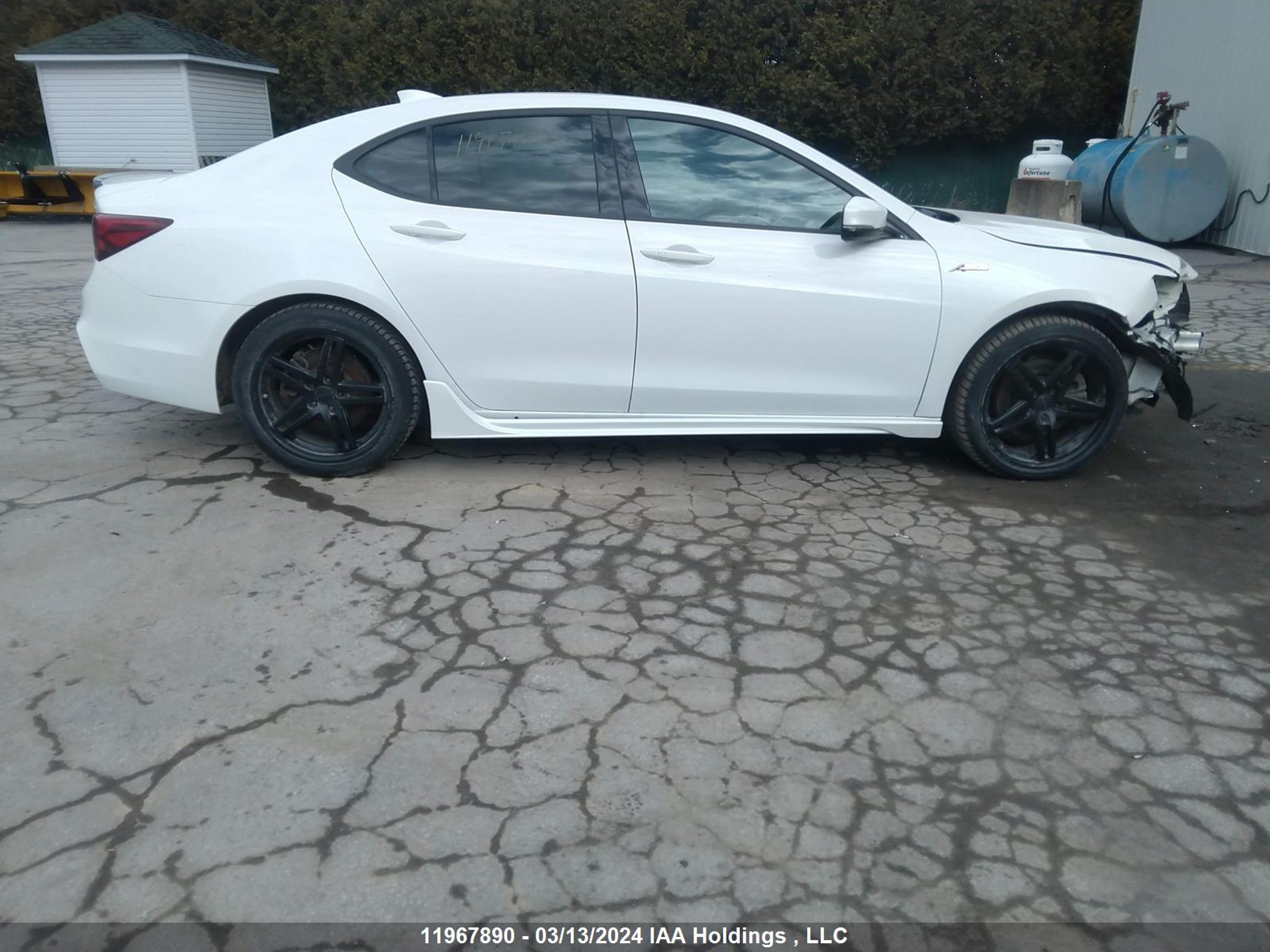 Photo 13 VIN: 19UUB3F64JA802721 - ACURA TLX 