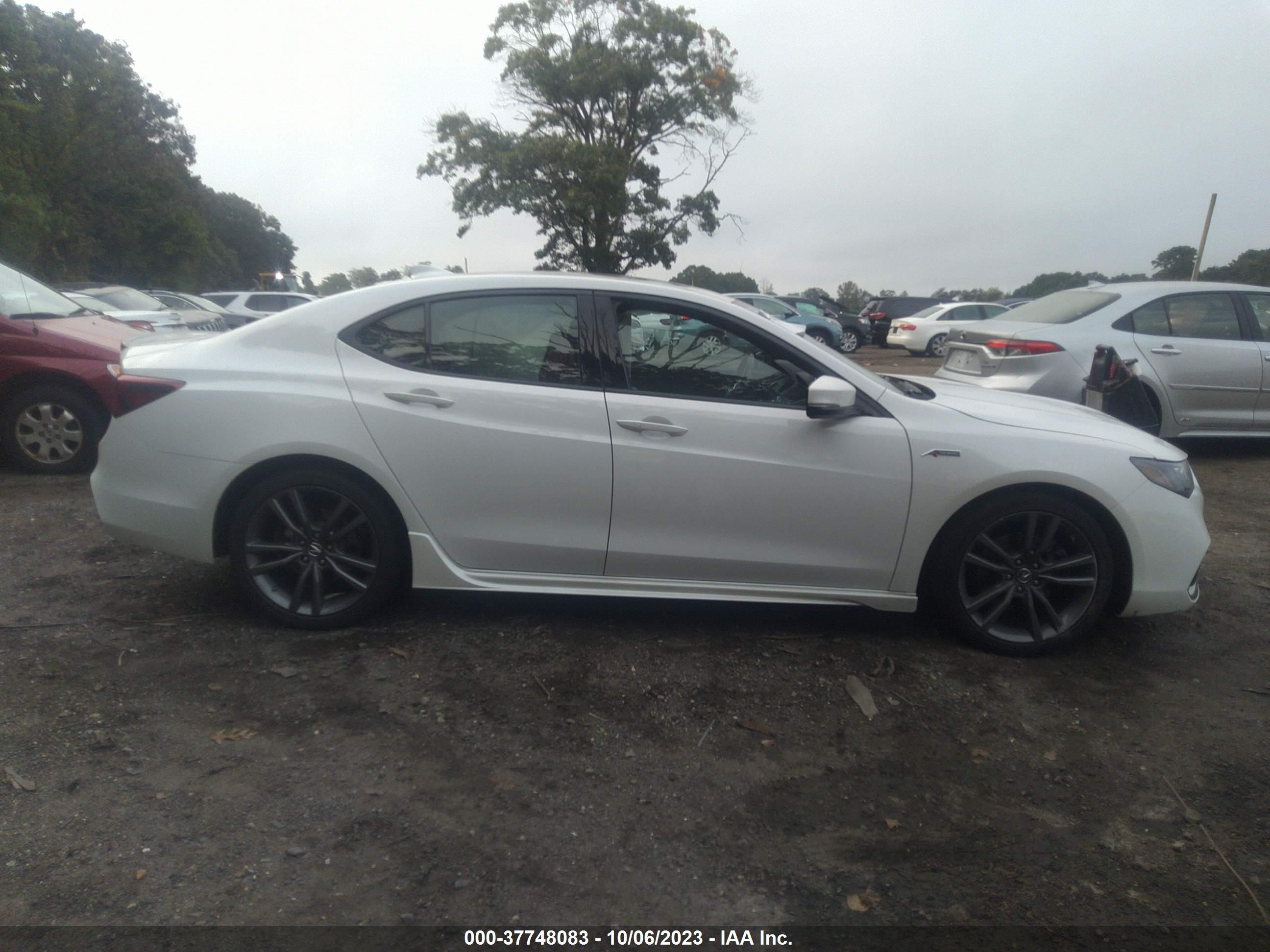 Photo 12 VIN: 19UUB3F65JA005166 - ACURA TLX 