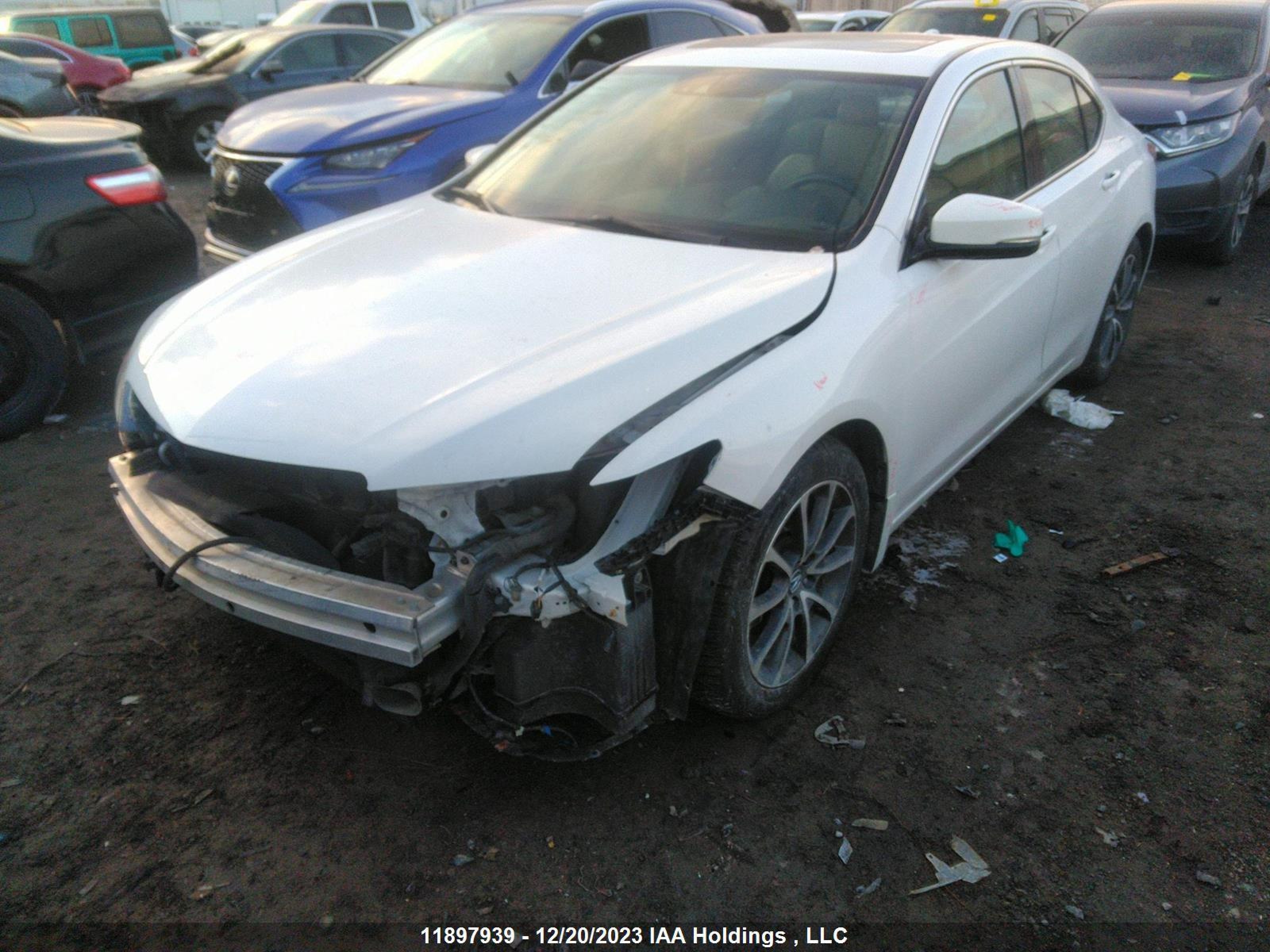 Photo 1 VIN: 19UUB3F75HA800379 - ACURA TLX 