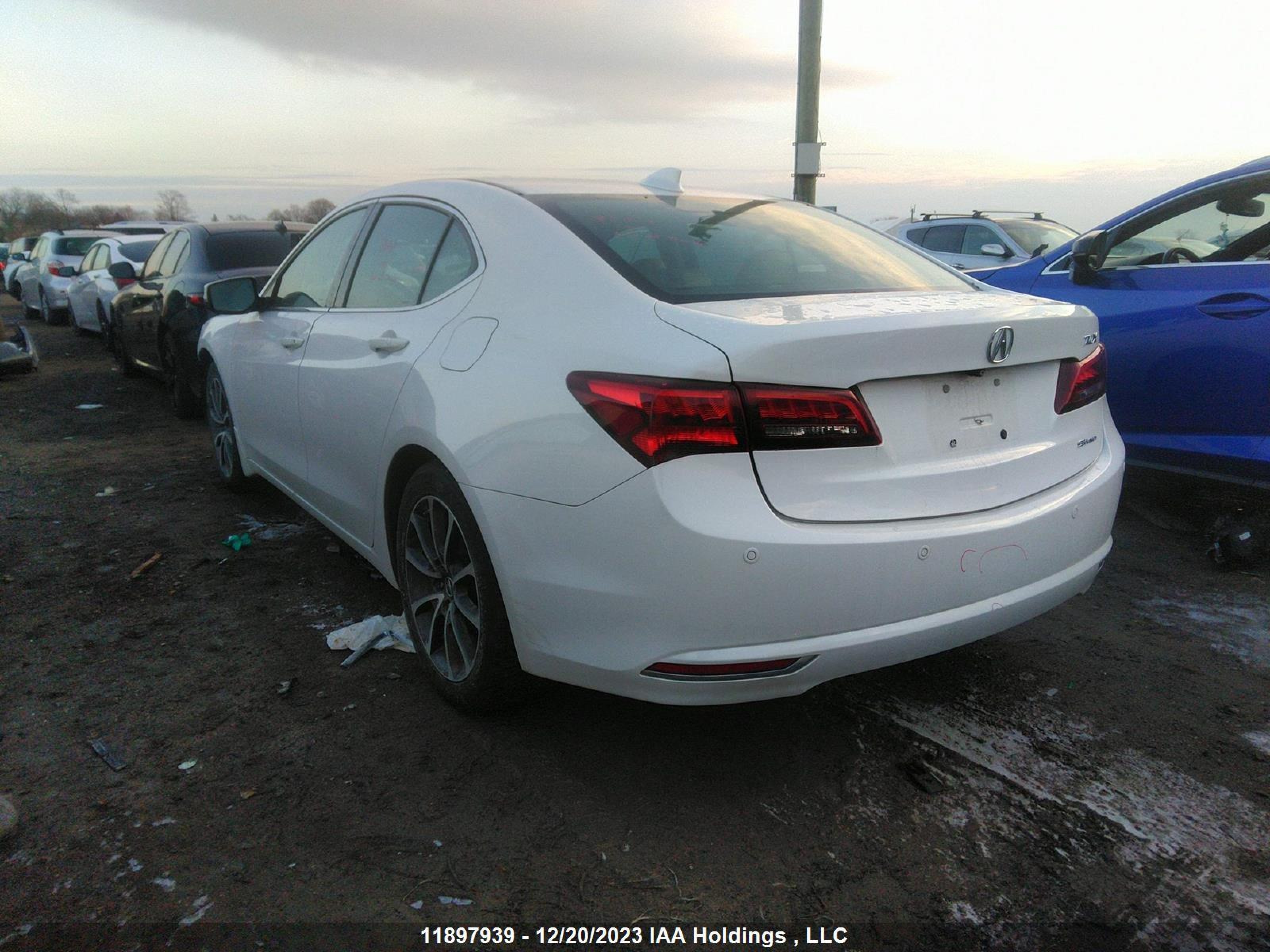 Photo 2 VIN: 19UUB3F75HA800379 - ACURA TLX 