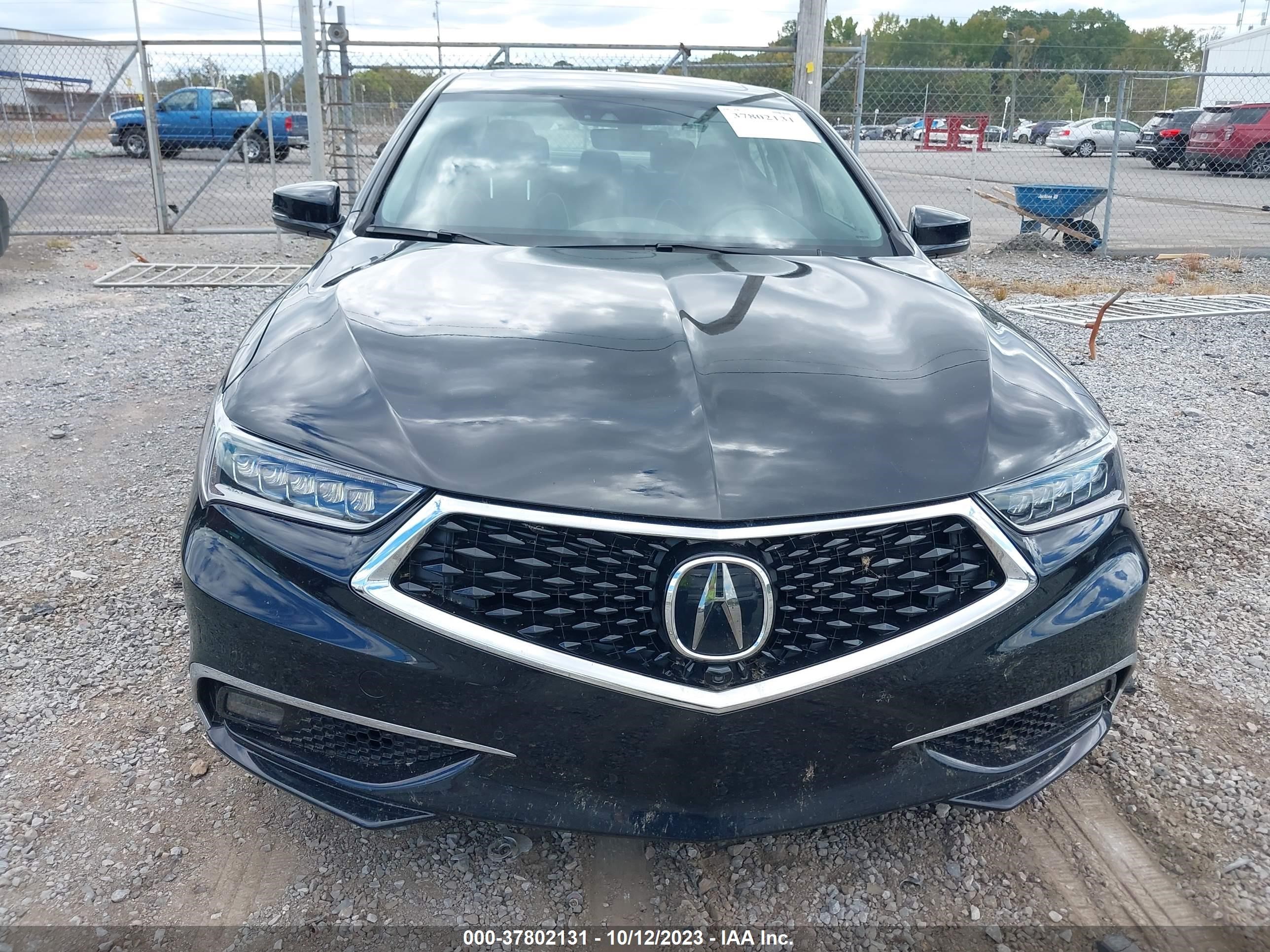 Photo 11 VIN: 19UUB3F81KA005359 - ACURA TLX 