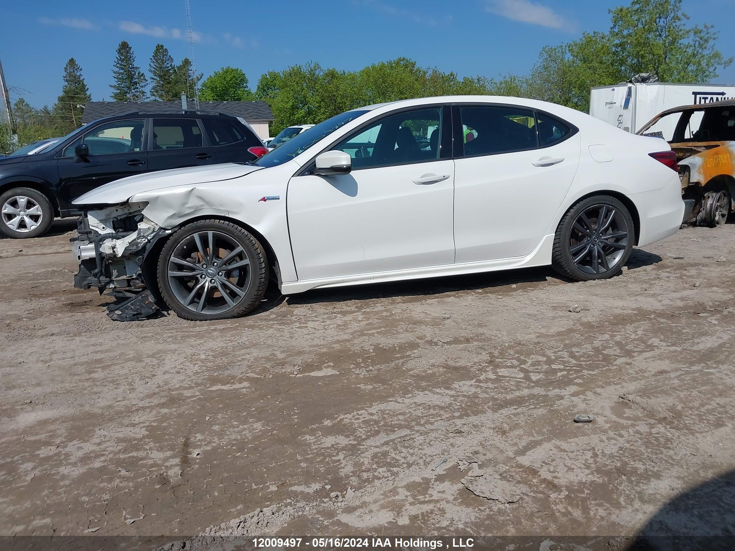 Photo 14 VIN: 19UUB3F84KA800308 - ACURA TLX 