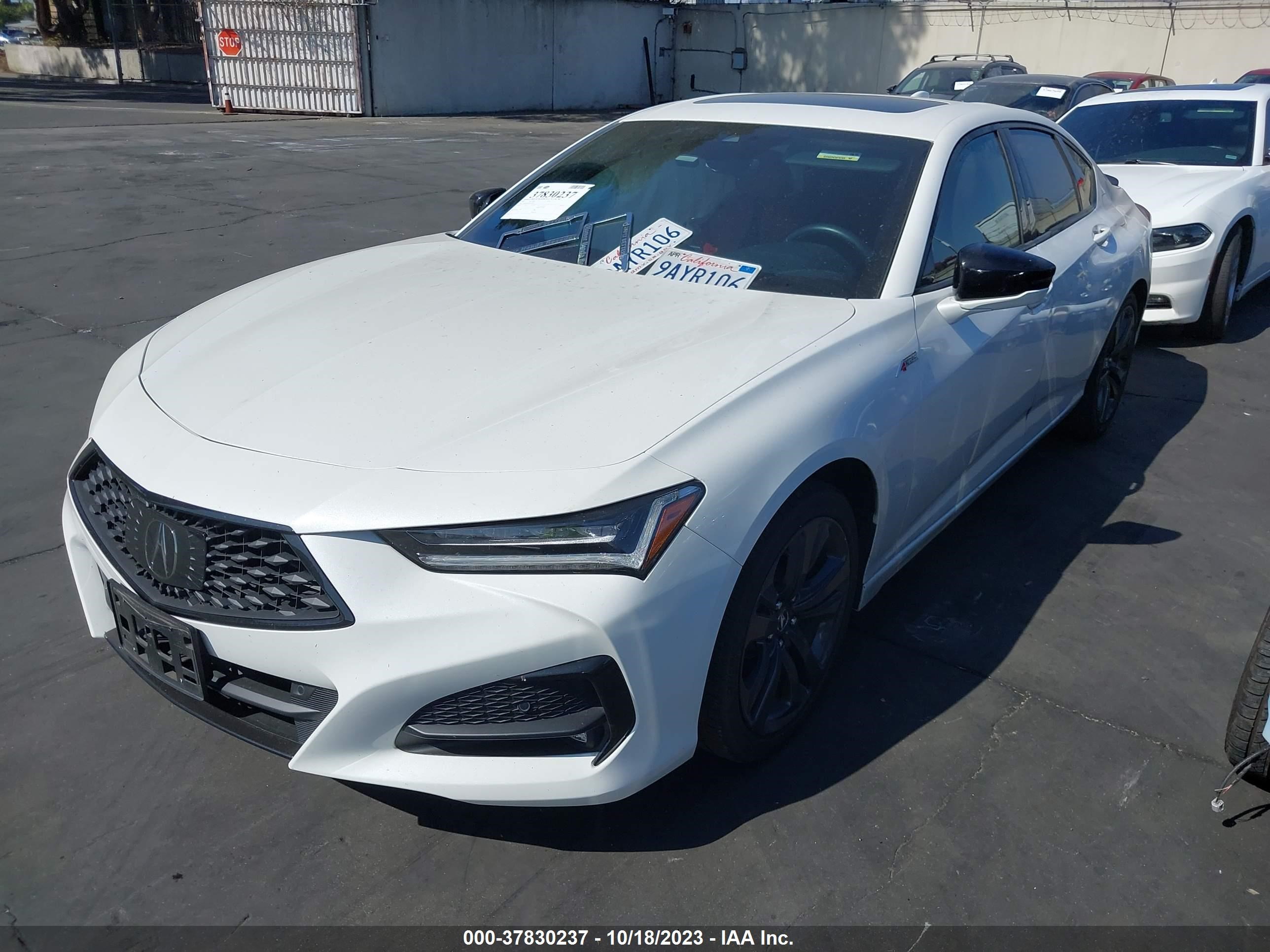 Photo 1 VIN: 19UUB5F54MA013685 - ACURA TLX 