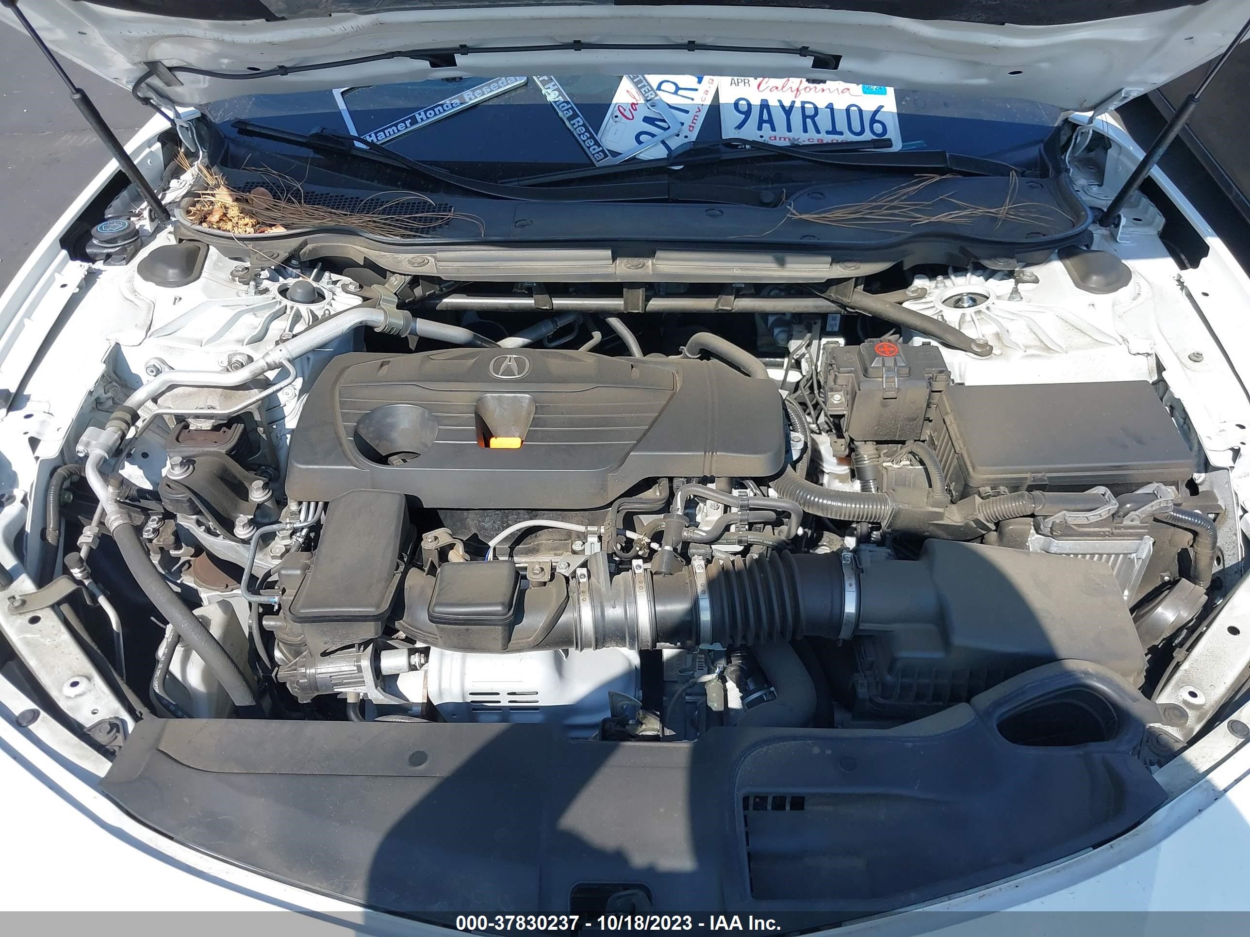 Photo 9 VIN: 19UUB5F54MA013685 - ACURA TLX 