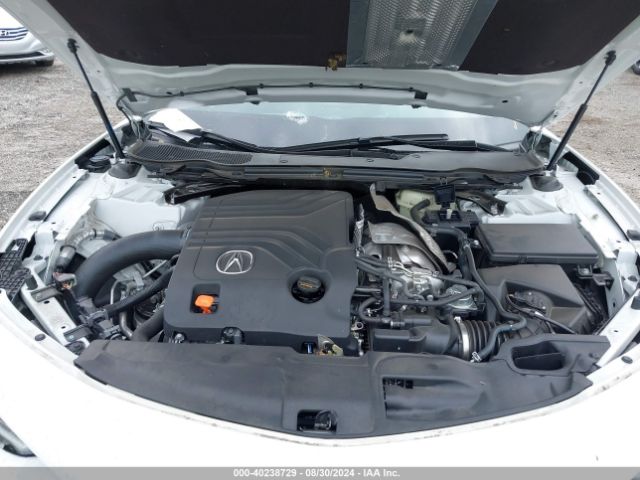 Photo 9 VIN: 19UUB7F98PA004166 - ACURA TLX 