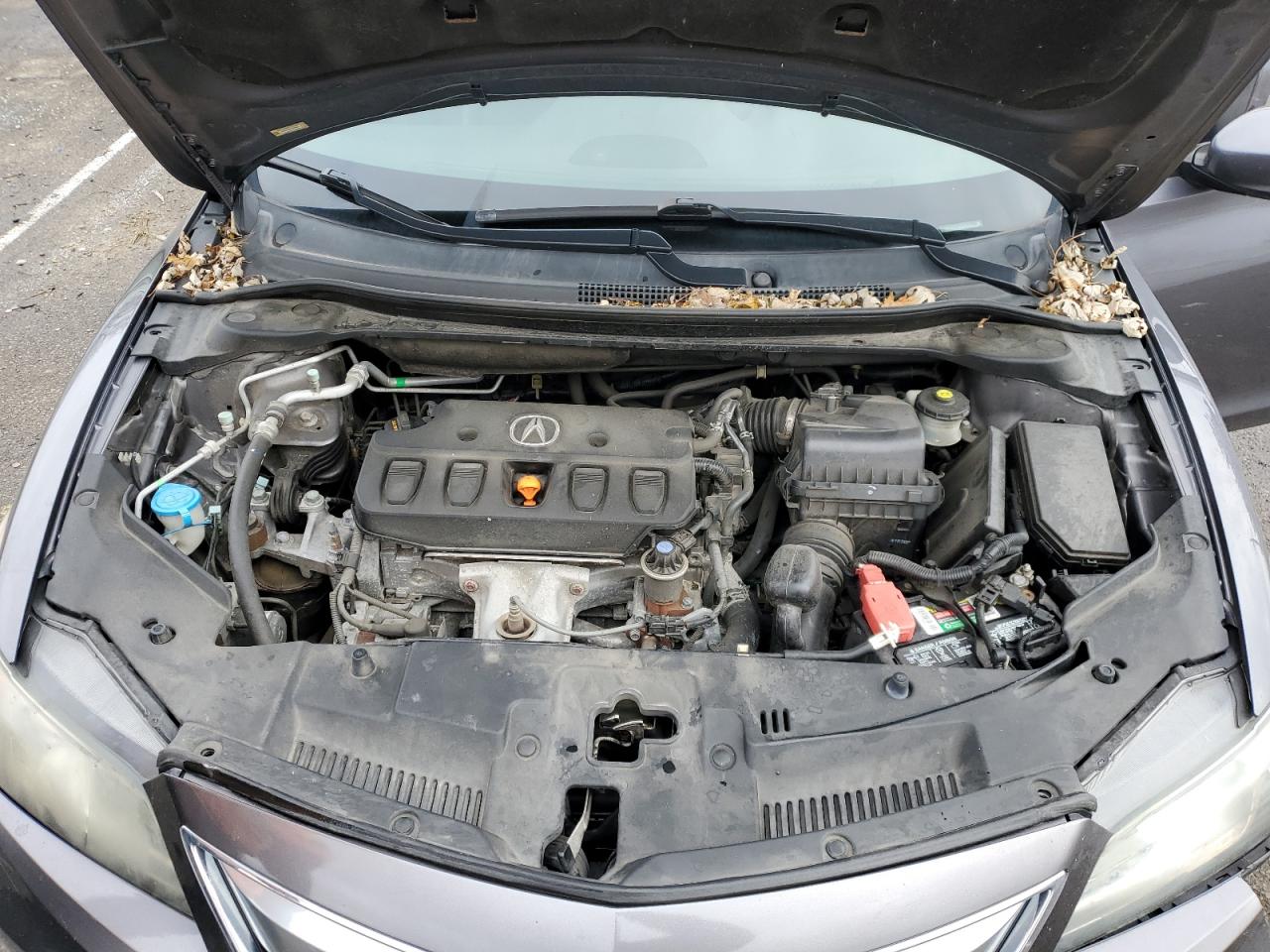 Photo 10 VIN: 19VDE1F38FE009953 - ACURA ILX 