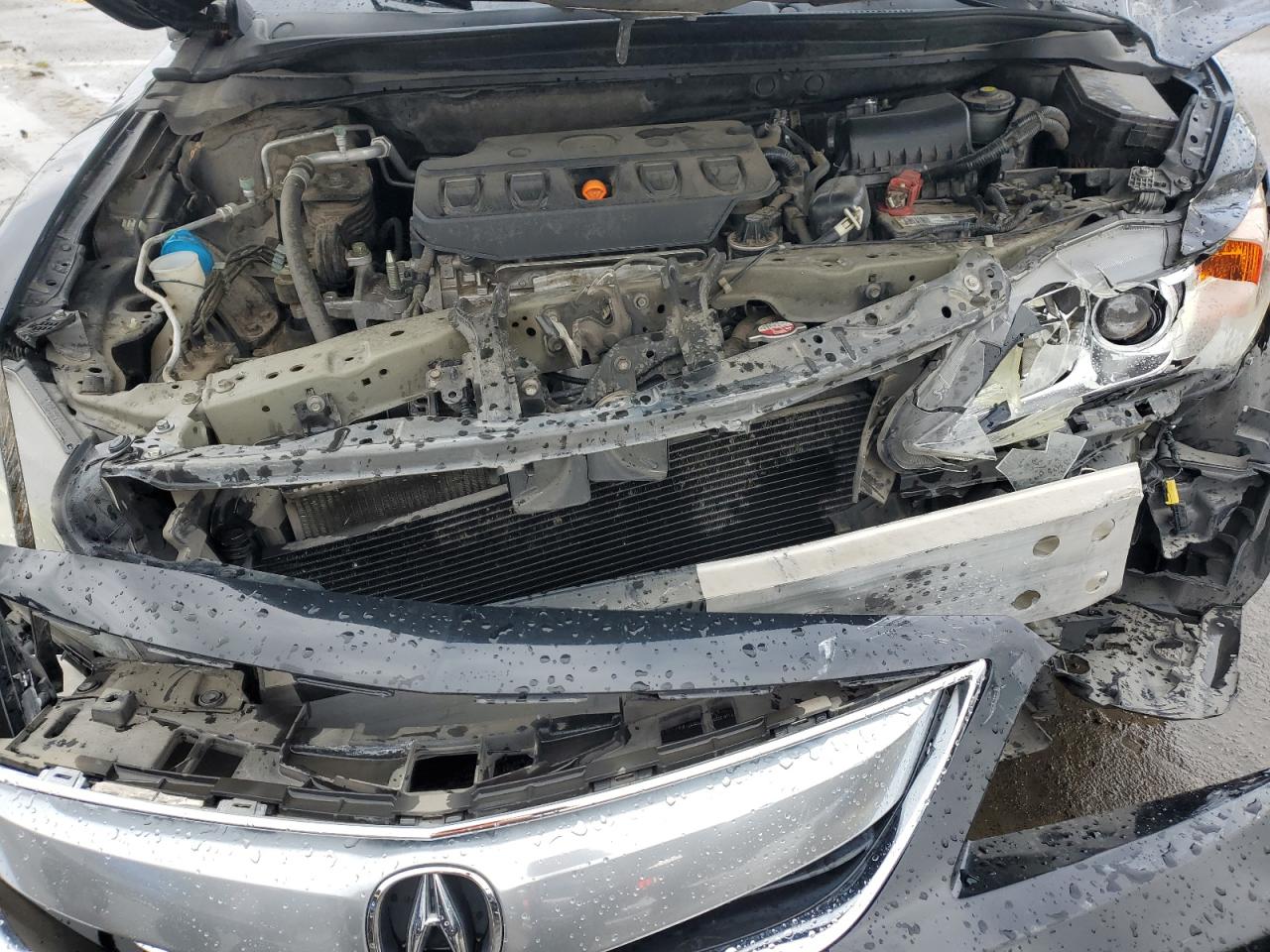 Photo 10 VIN: 19VDE1F54FE009899 - ACURA ILX 