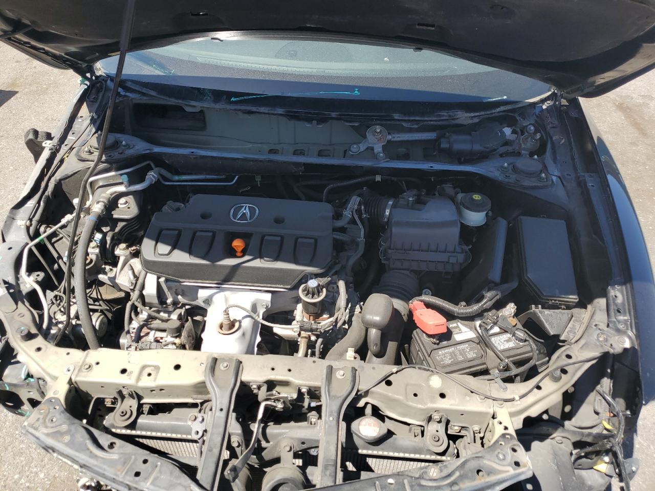 Photo 10 VIN: 19VDE1F72DE000181 - ACURA ILX 