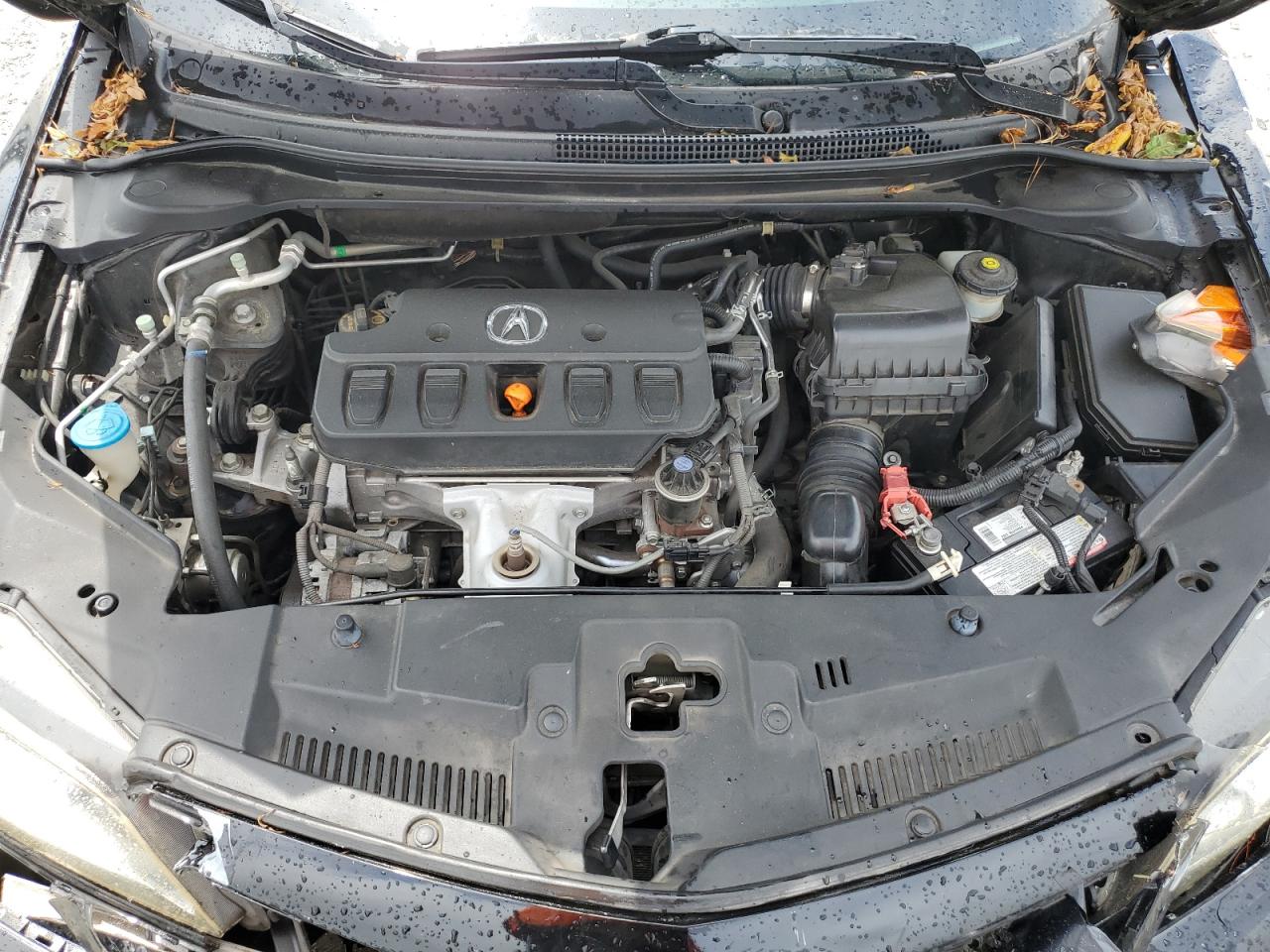 Photo 10 VIN: 19VDE1F78DE000265 - ACURA ILX 