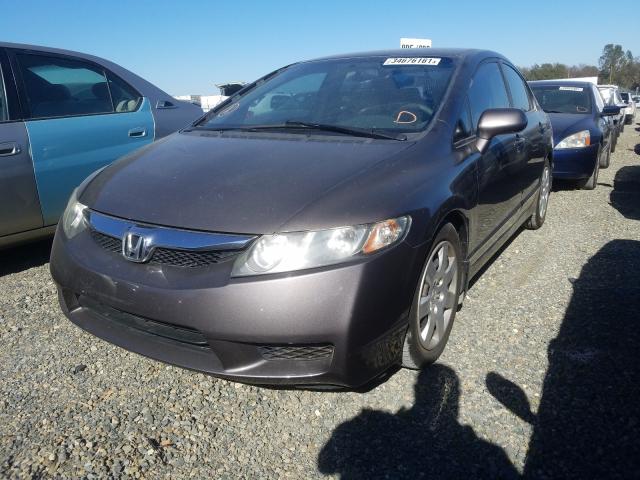 Photo 1 VIN: 19XFA1F50AE054245 - HONDA CIVIC LX 