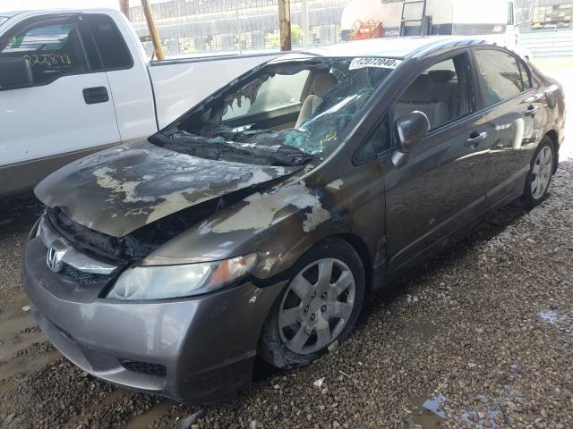 Photo 1 VIN: 19XFA1F50BE041593 - HONDA CIVIC LX 