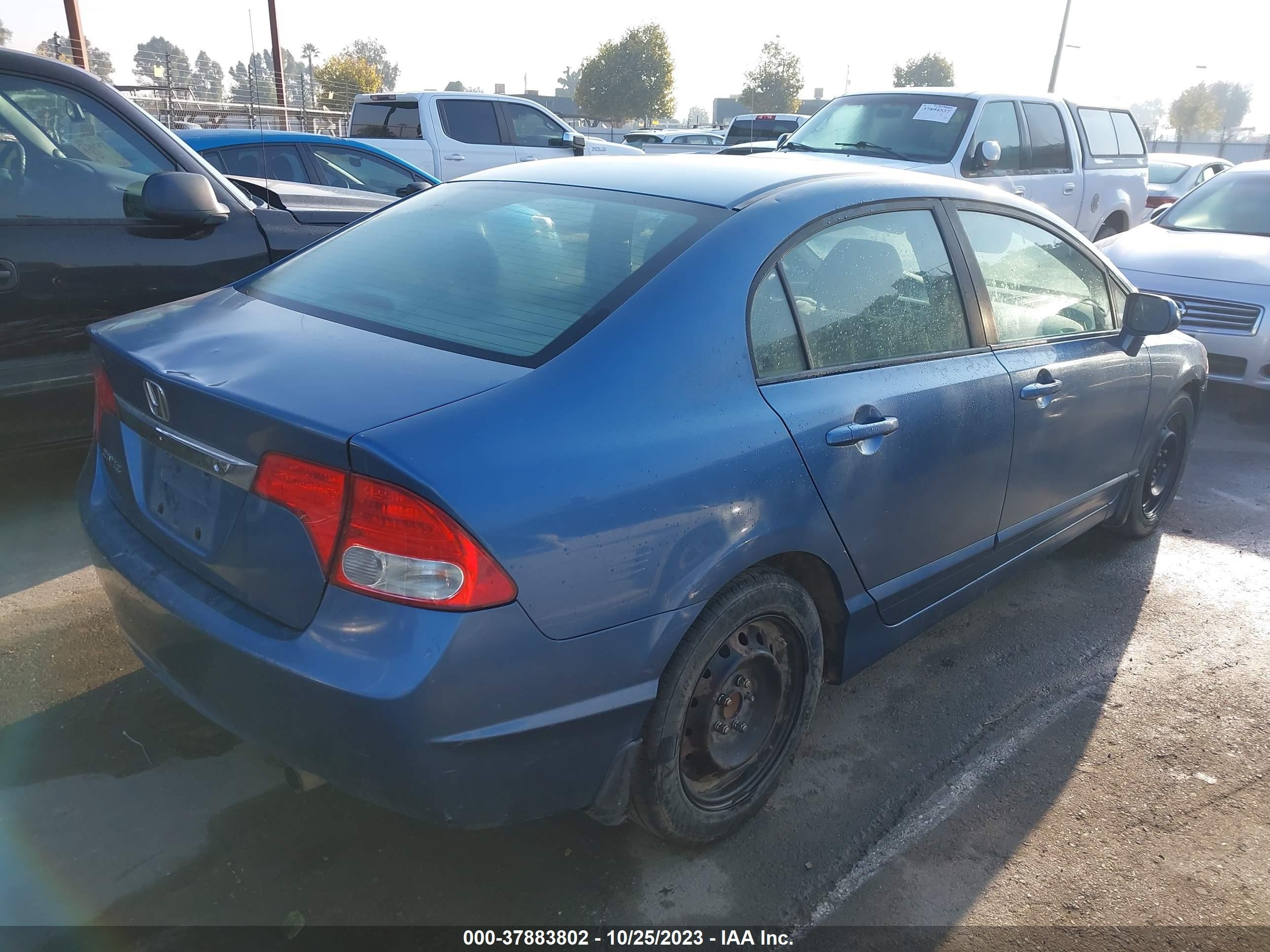 Photo 3 VIN: 19XFA1F56BE038939 - HONDA CIVIC 