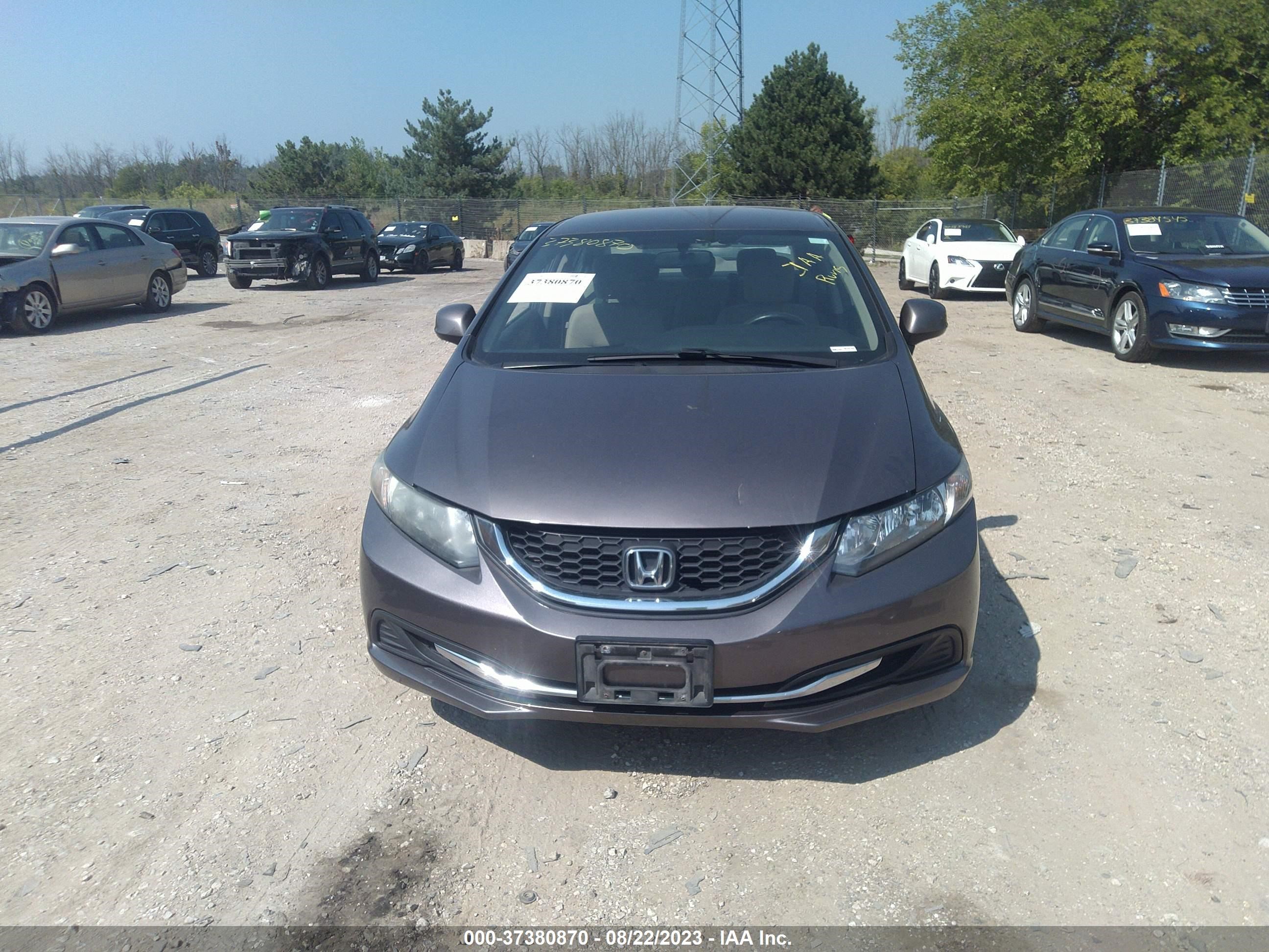 Photo 11 VIN: 19XFB2F58DE071205 - HONDA CIVIC 