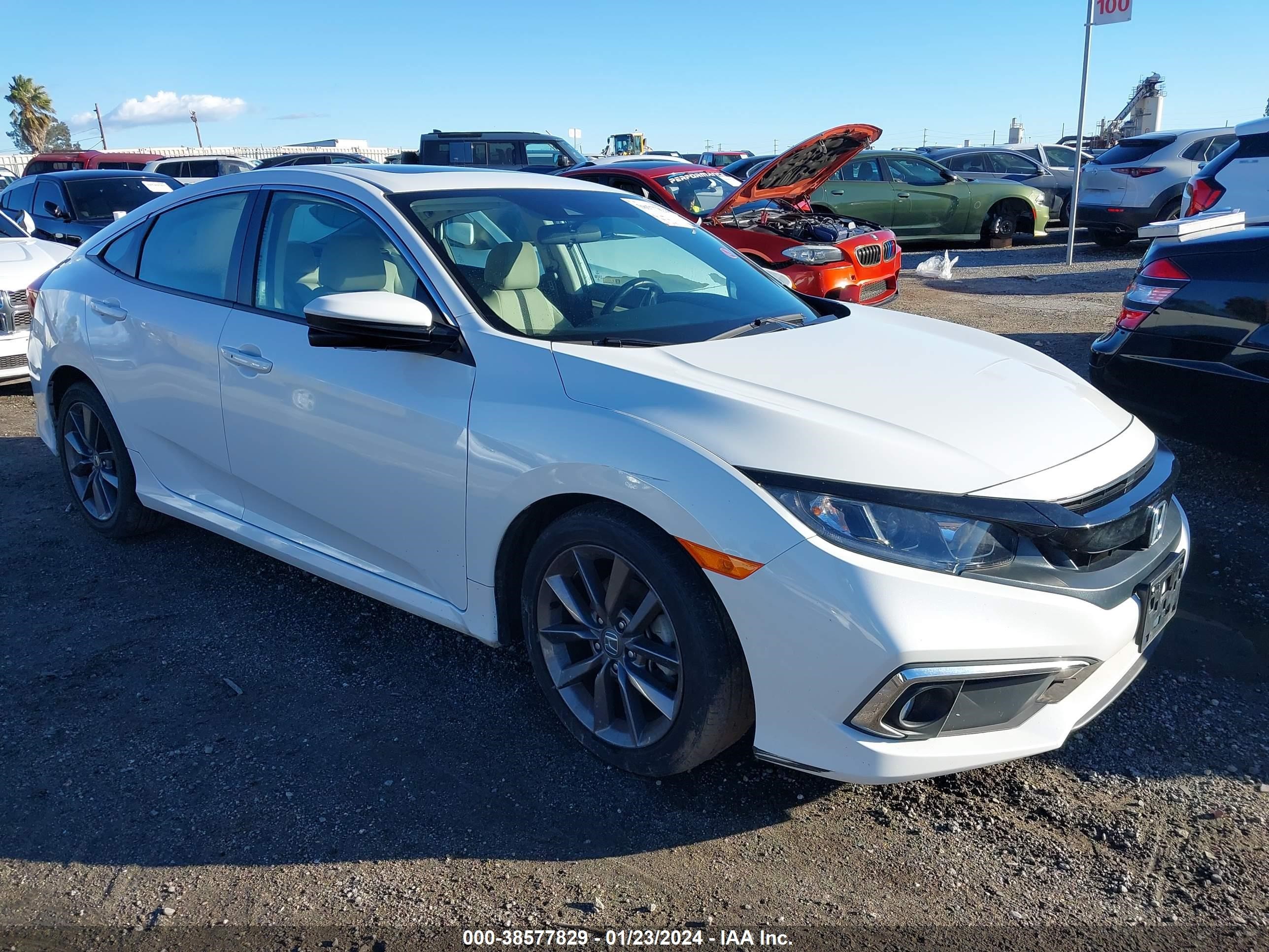 Photo 0 VIN: 19XFC1F31LE201815 - HONDA CIVIC 