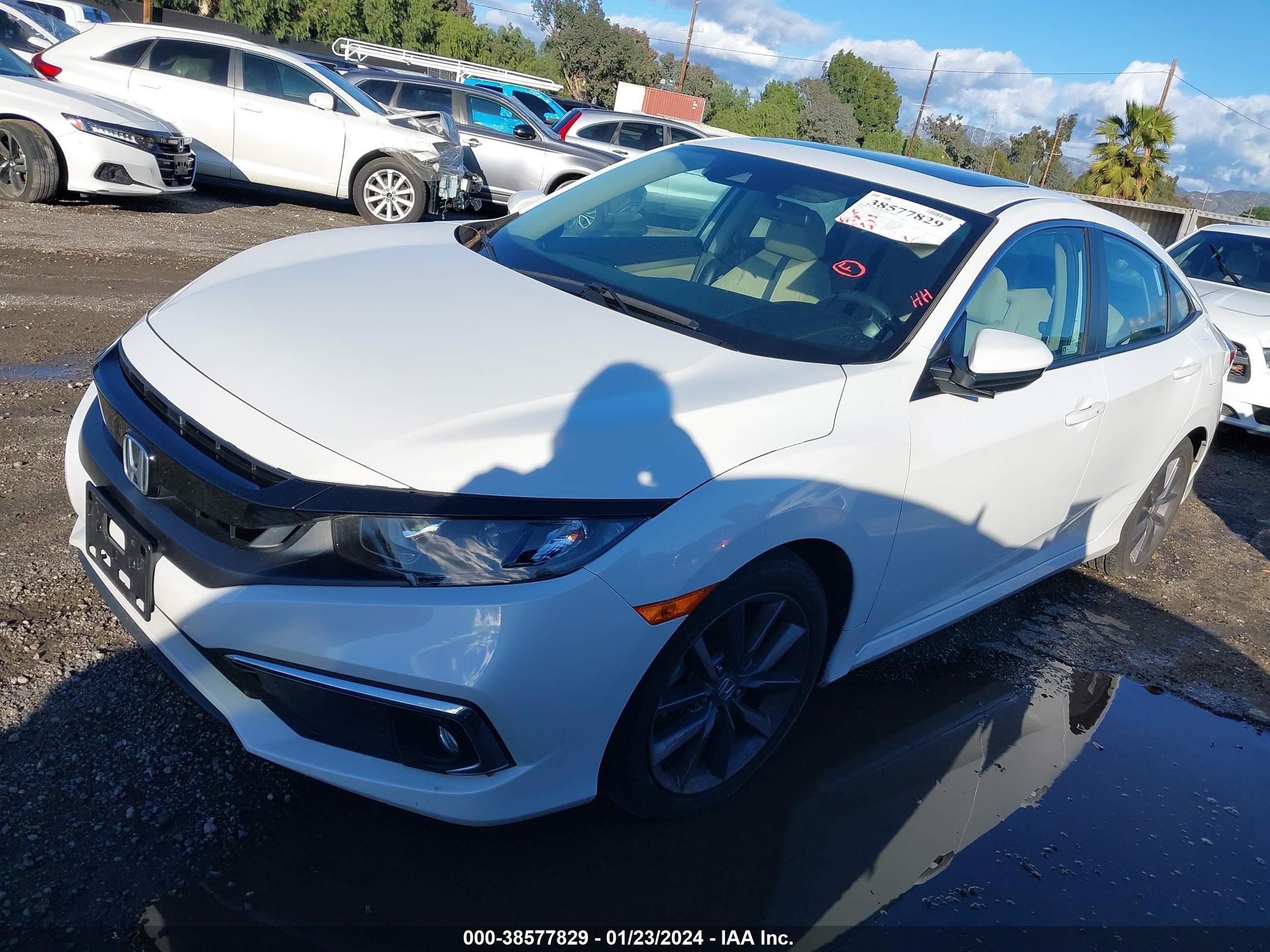 Photo 1 VIN: 19XFC1F31LE201815 - HONDA CIVIC 