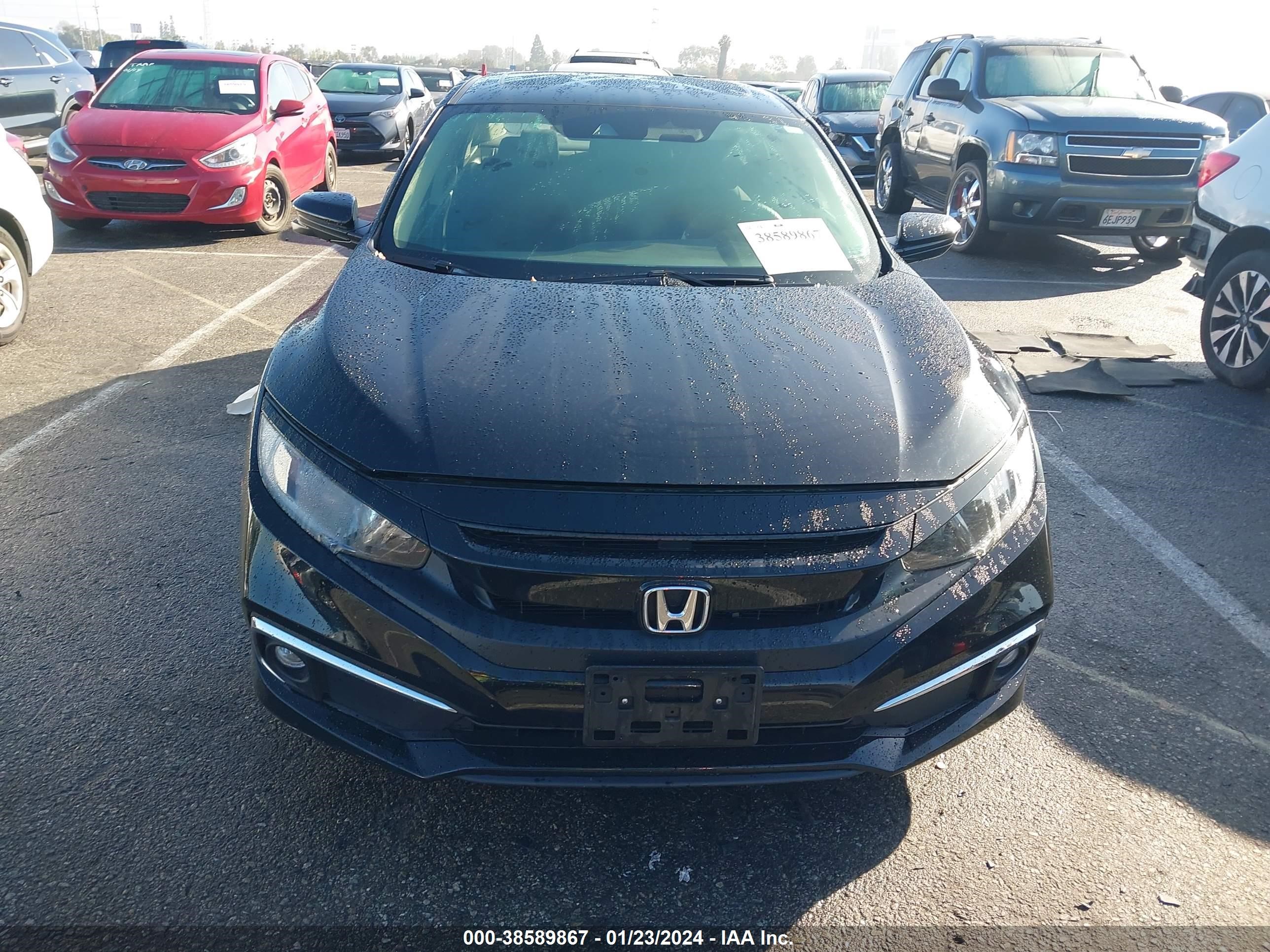 Photo 11 VIN: 19XFC1F35ME204024 - HONDA CIVIC 