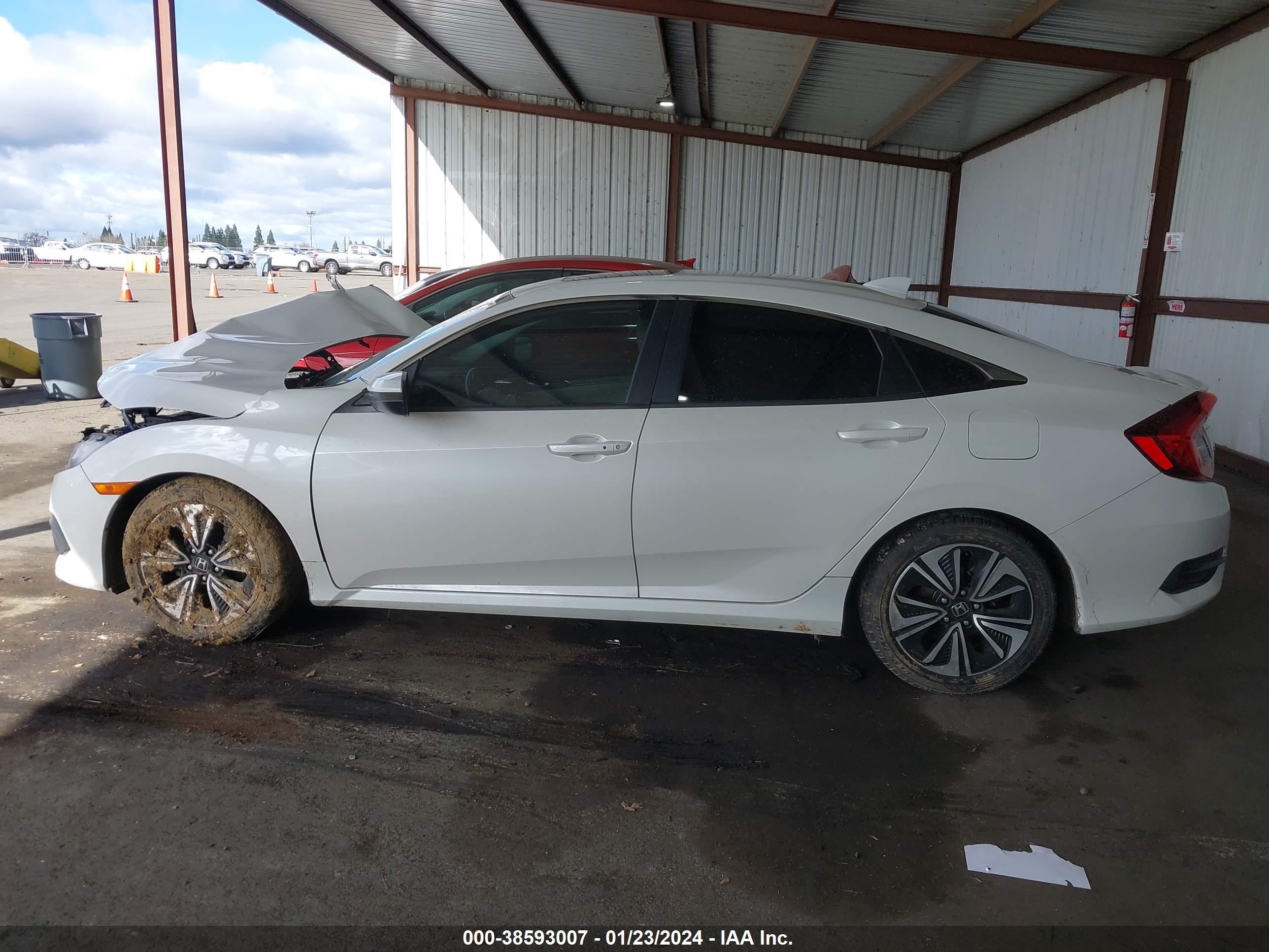 Photo 13 VIN: 19XFC1F74HE206100 - HONDA CIVIC 