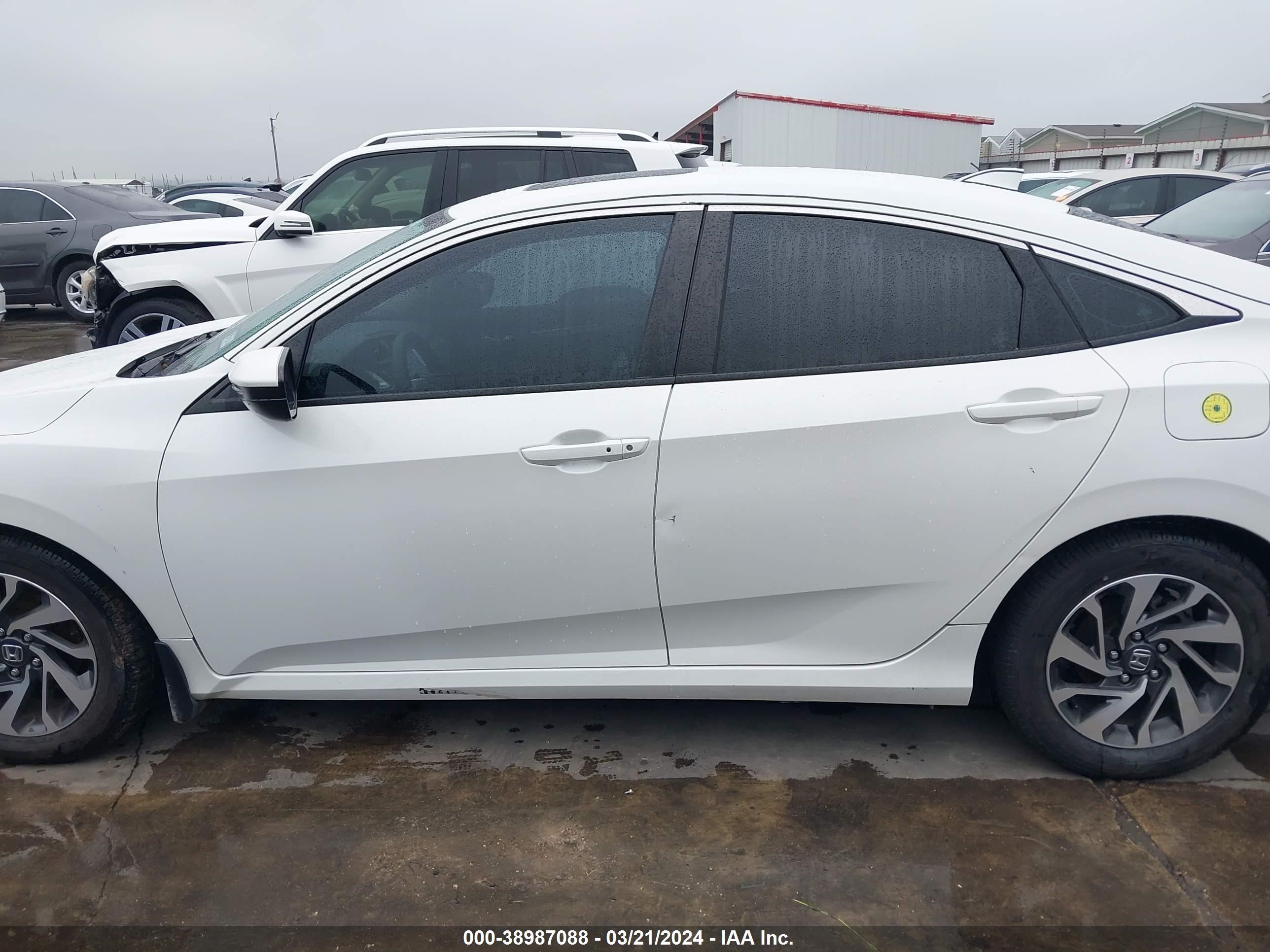 Photo 13 VIN: 19XFC2F89JE004227 - HONDA CIVIC 