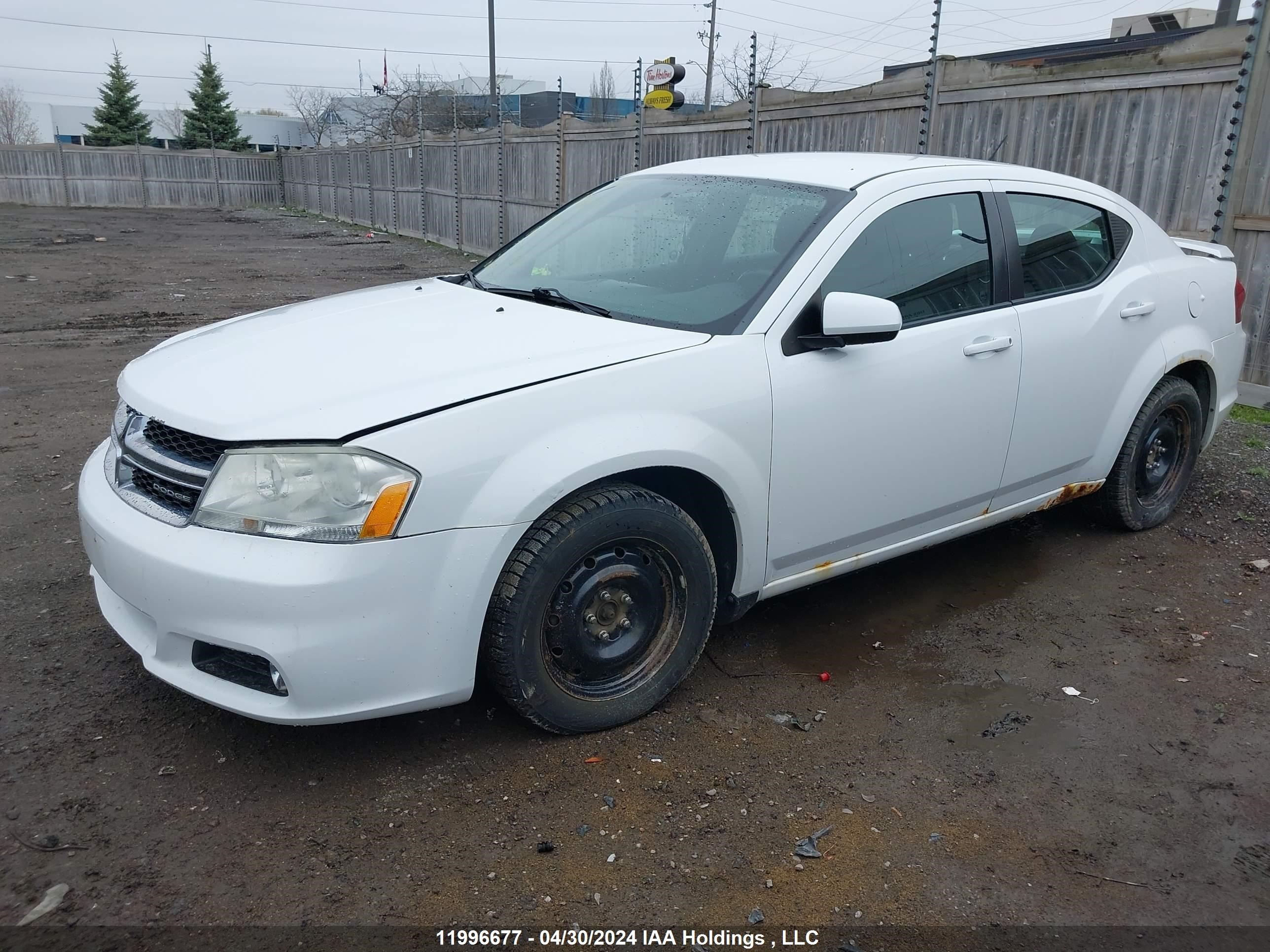 Photo 1 VIN: 1B3BD1FB9BN557556 - DODGE AVENGER 