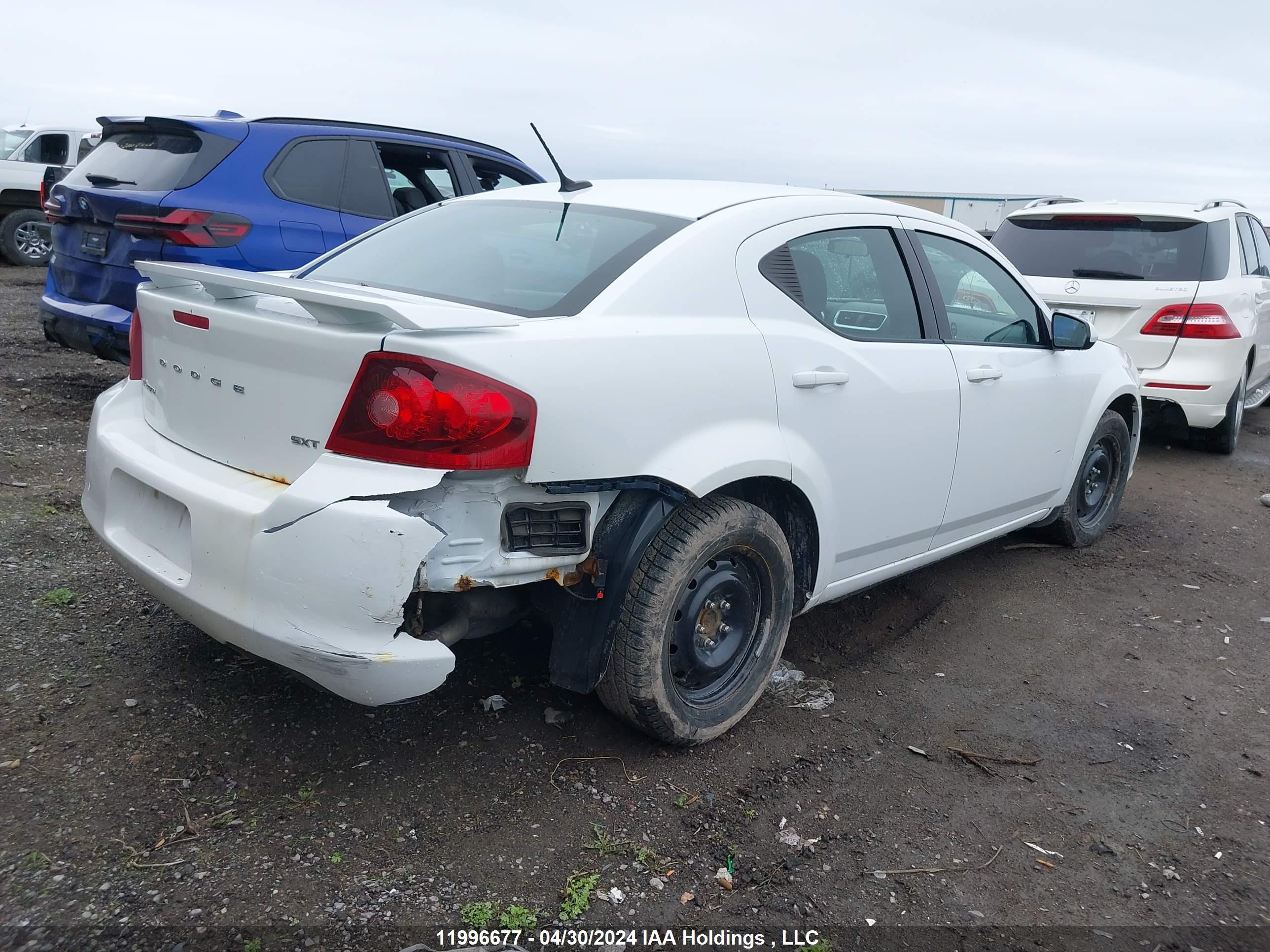 Photo 3 VIN: 1B3BD1FB9BN557556 - DODGE AVENGER 