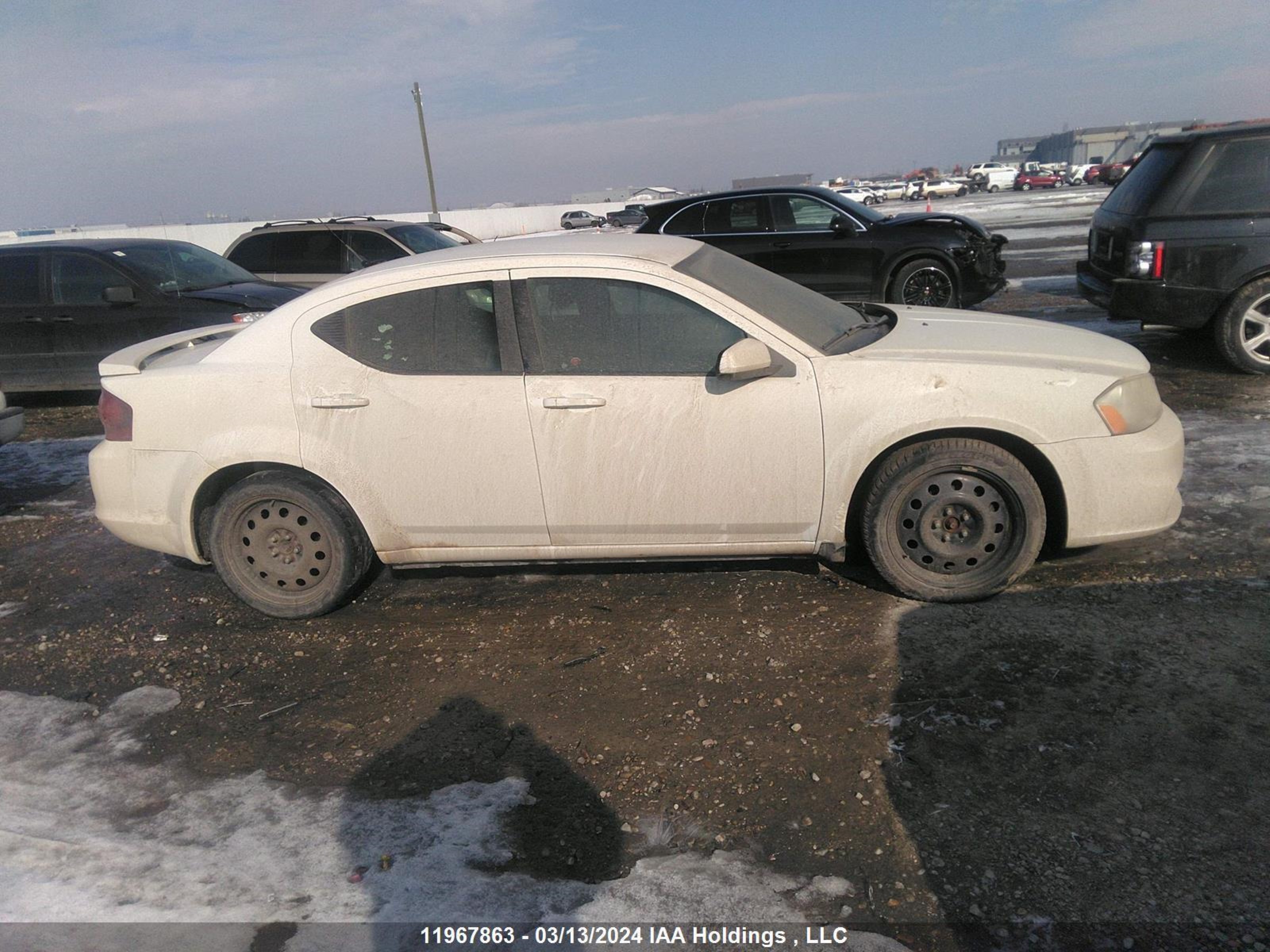 Photo 12 VIN: 1B3BD1FBXBN502677 - DODGE AVENGER 