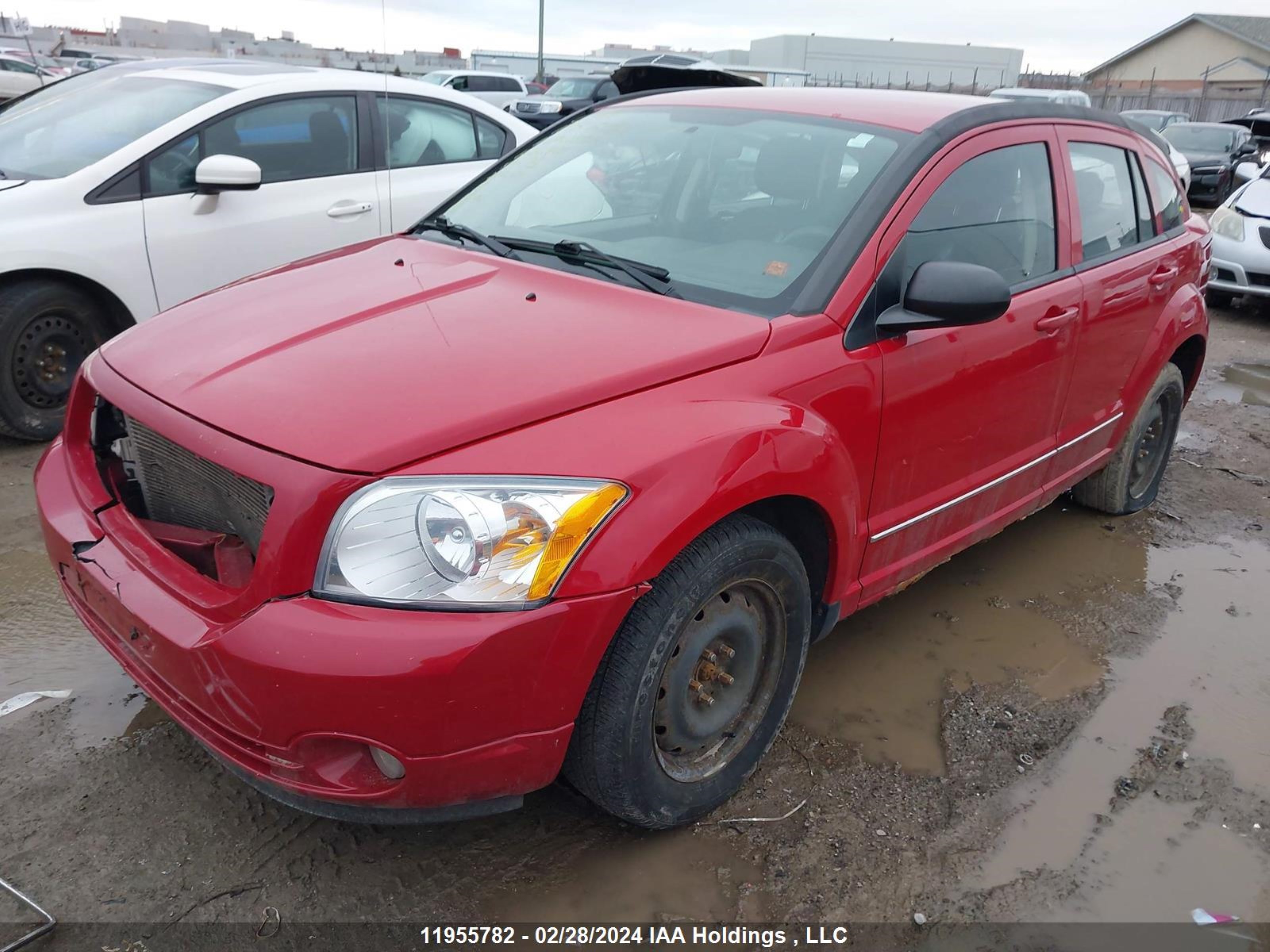 Photo 1 VIN: 1B3CB4HA1BD166407 - DODGE CALIBER 