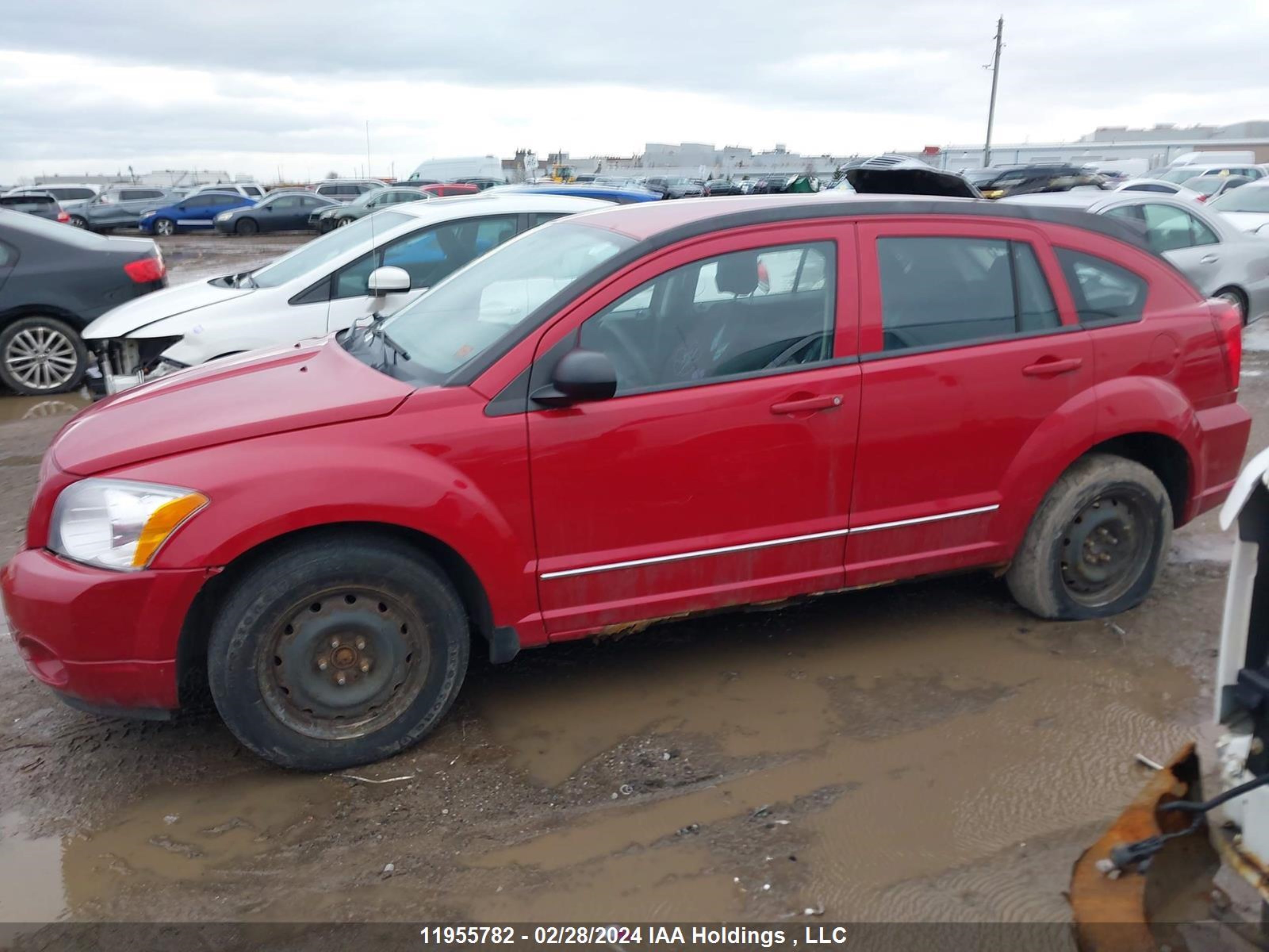 Photo 14 VIN: 1B3CB4HA1BD166407 - DODGE CALIBER 