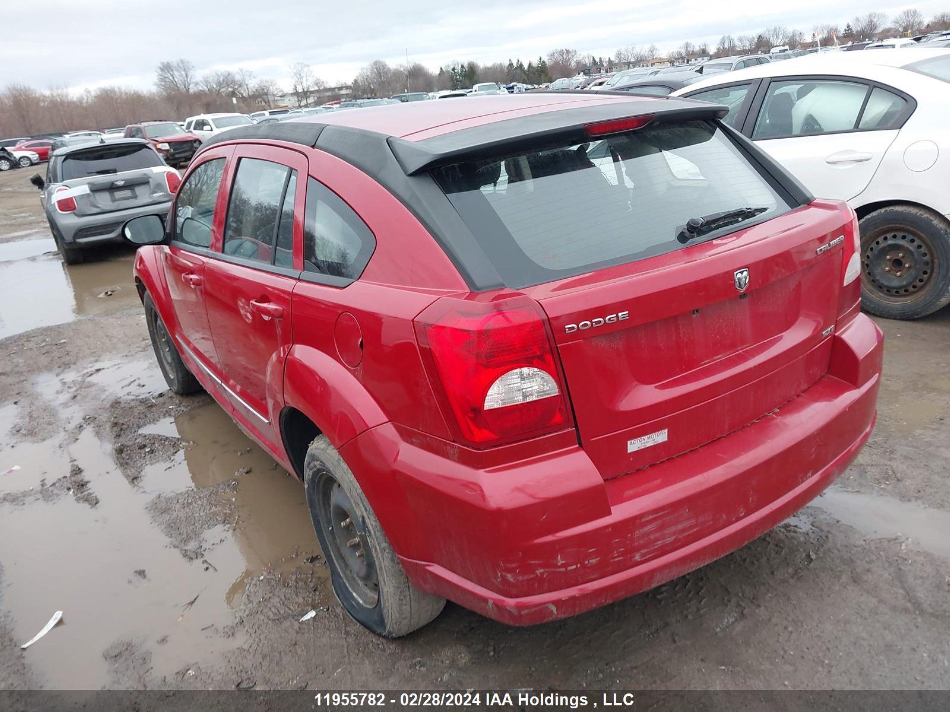 Photo 2 VIN: 1B3CB4HA1BD166407 - DODGE CALIBER 