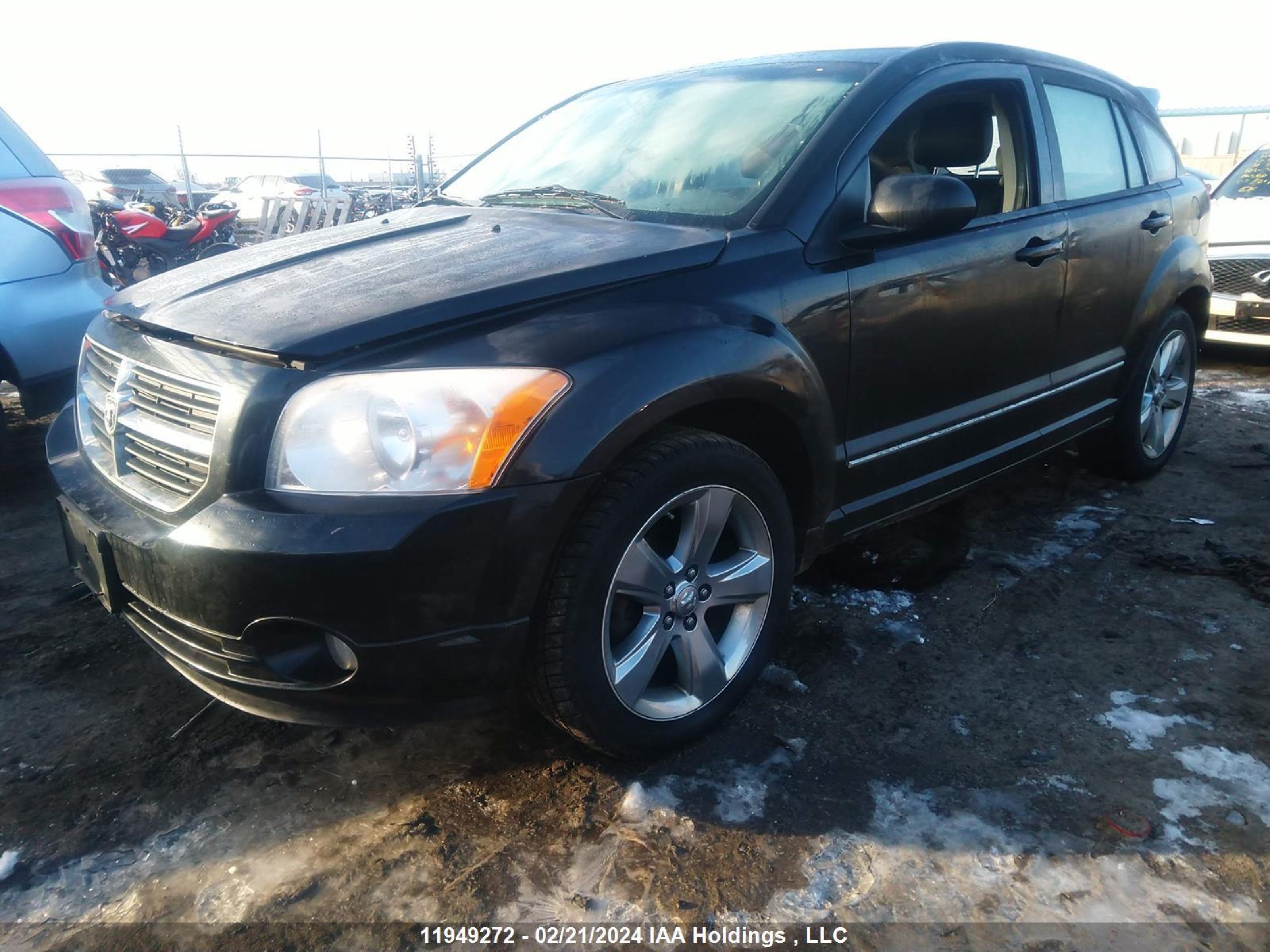 Photo 1 VIN: 1B3CB8HB6BD118790 - DODGE CALIBER 