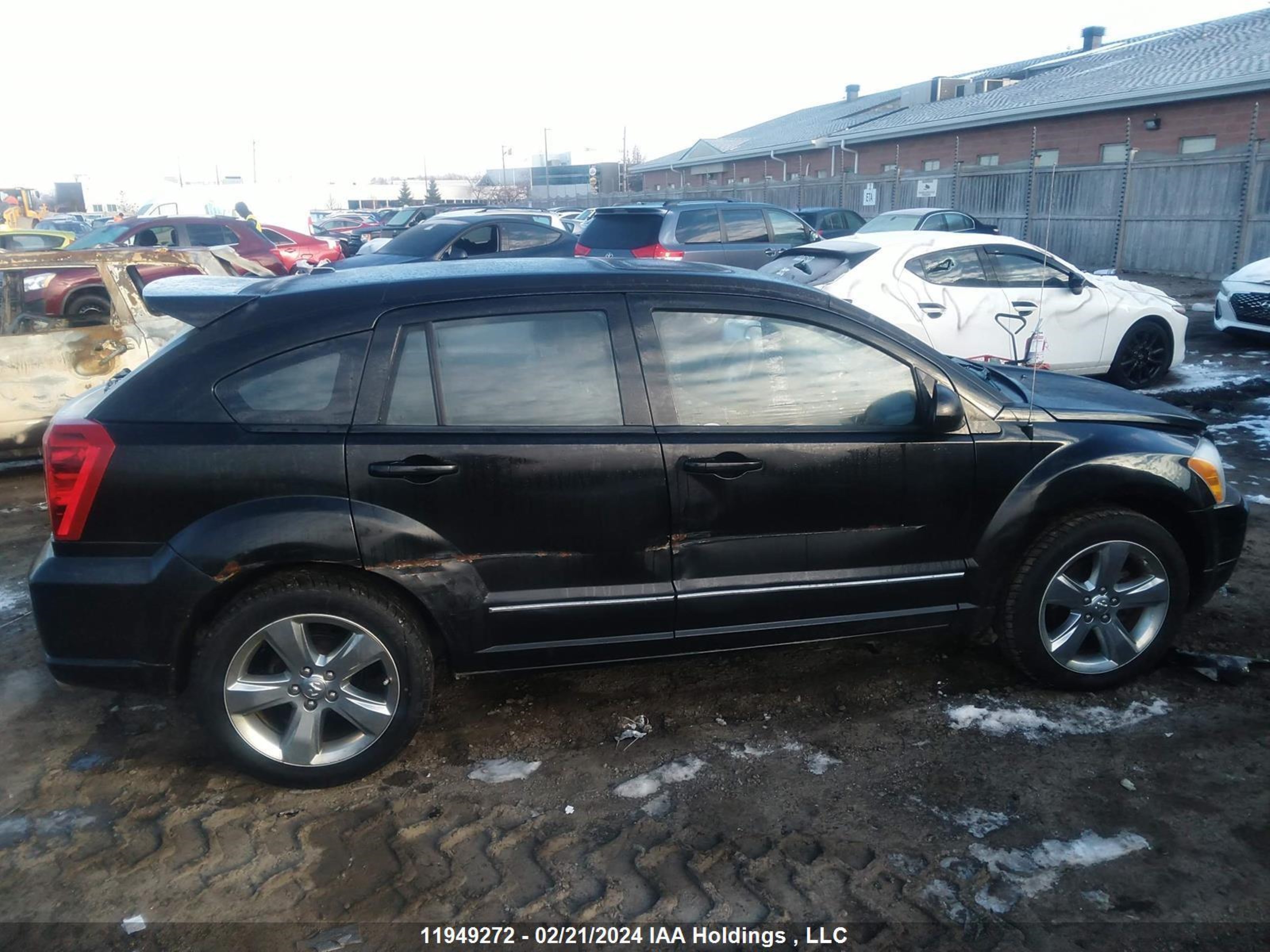 Photo 12 VIN: 1B3CB8HB6BD118790 - DODGE CALIBER 