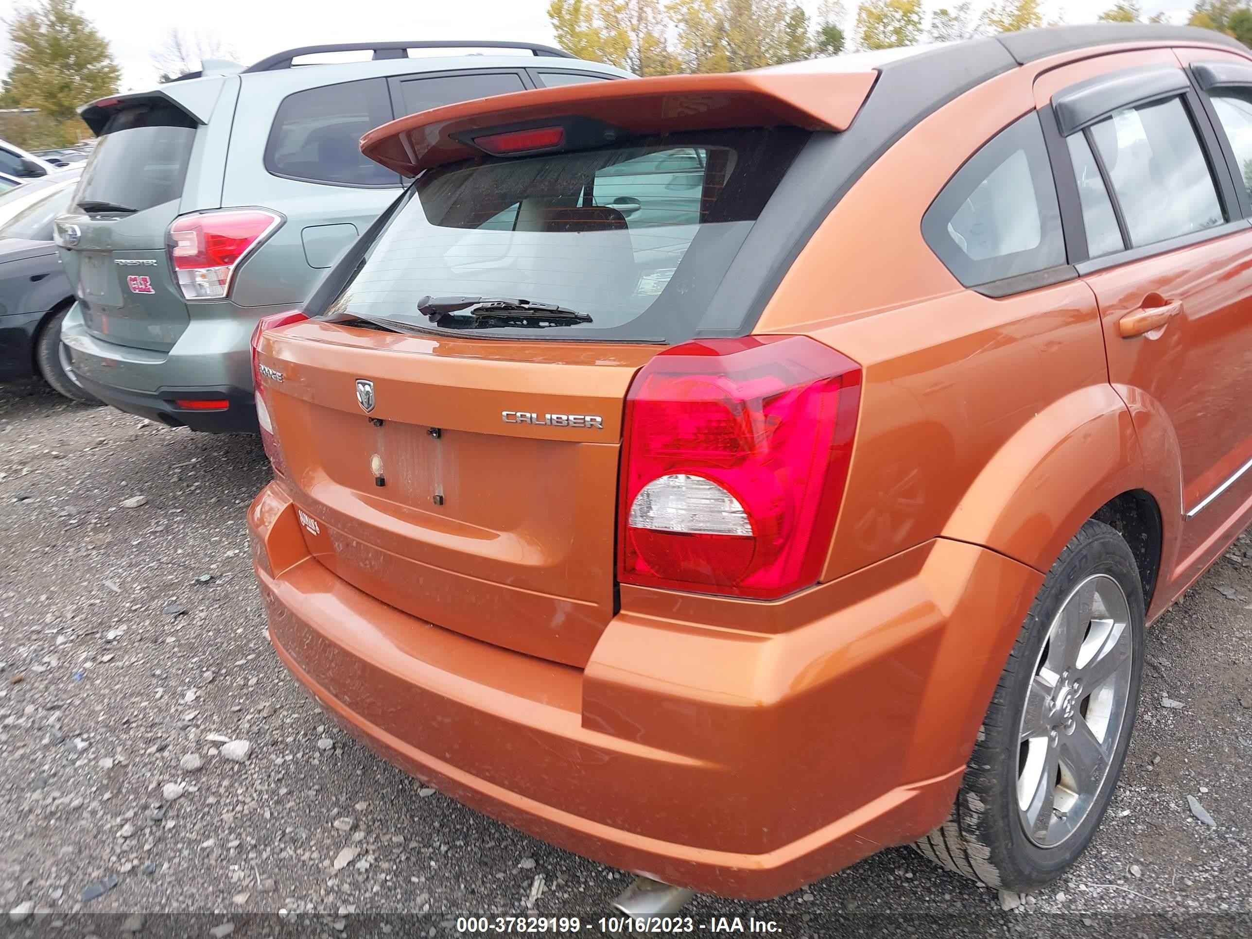 Photo 16 VIN: 1B3CB8HB9BD128715 - DODGE CALIBER 