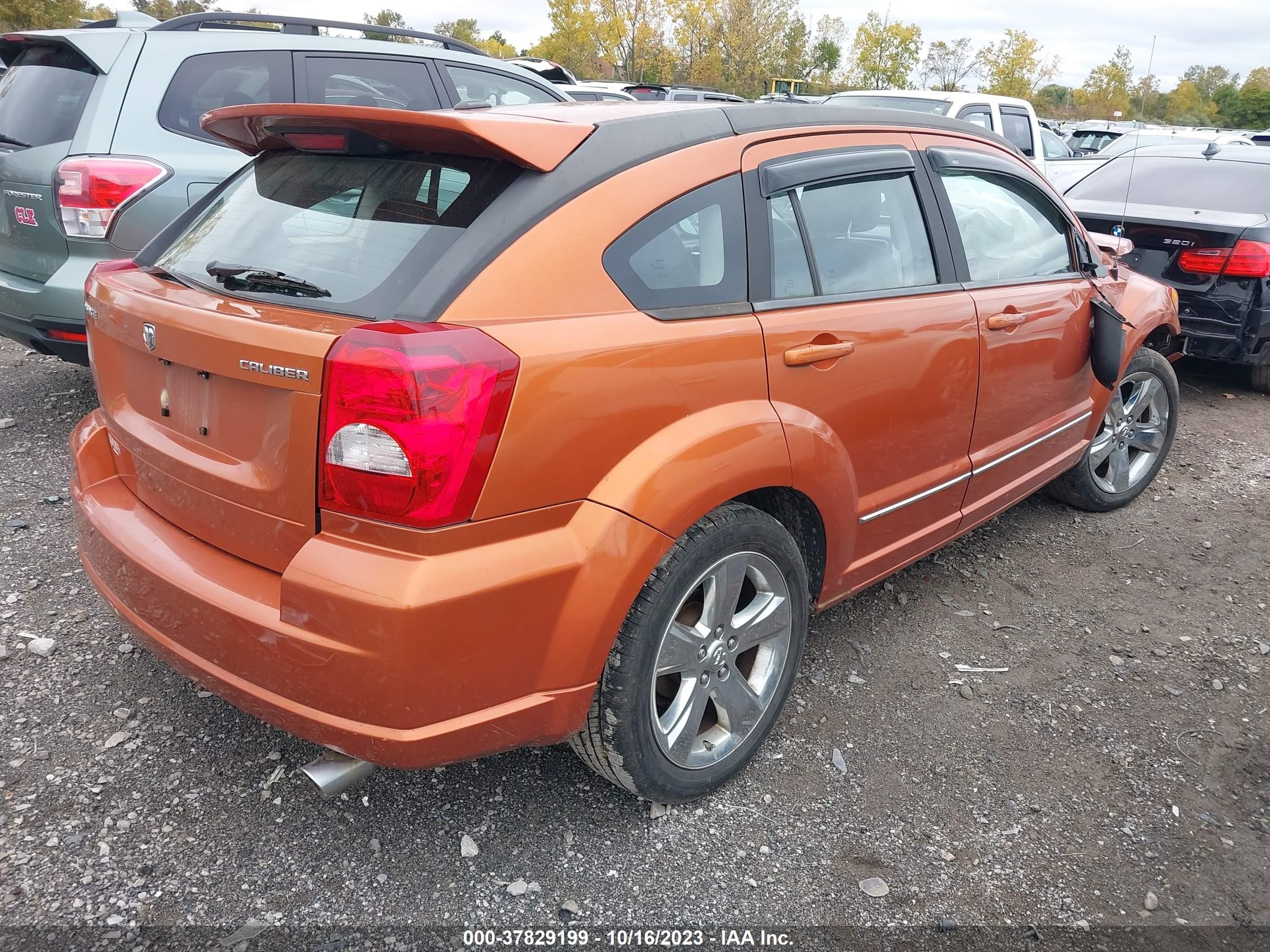 Photo 3 VIN: 1B3CB8HB9BD128715 - DODGE CALIBER 