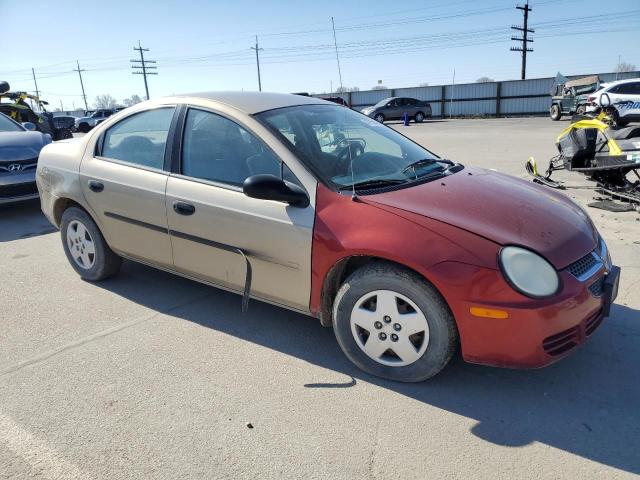 Photo 3 VIN: 1B3ES26C23D194073 - DODGE NEON 