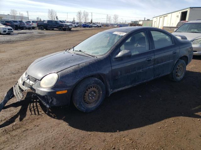 Photo 0 VIN: 1B3ES46C14D529255 - DODGE NEON 