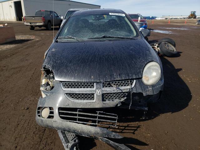 Photo 4 VIN: 1B3ES46C14D529255 - DODGE NEON 