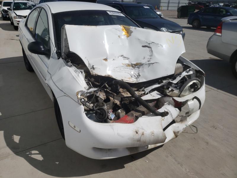 Photo 8 VIN: 1B3ES46C1YD696348 - DODGE NEON BASE 