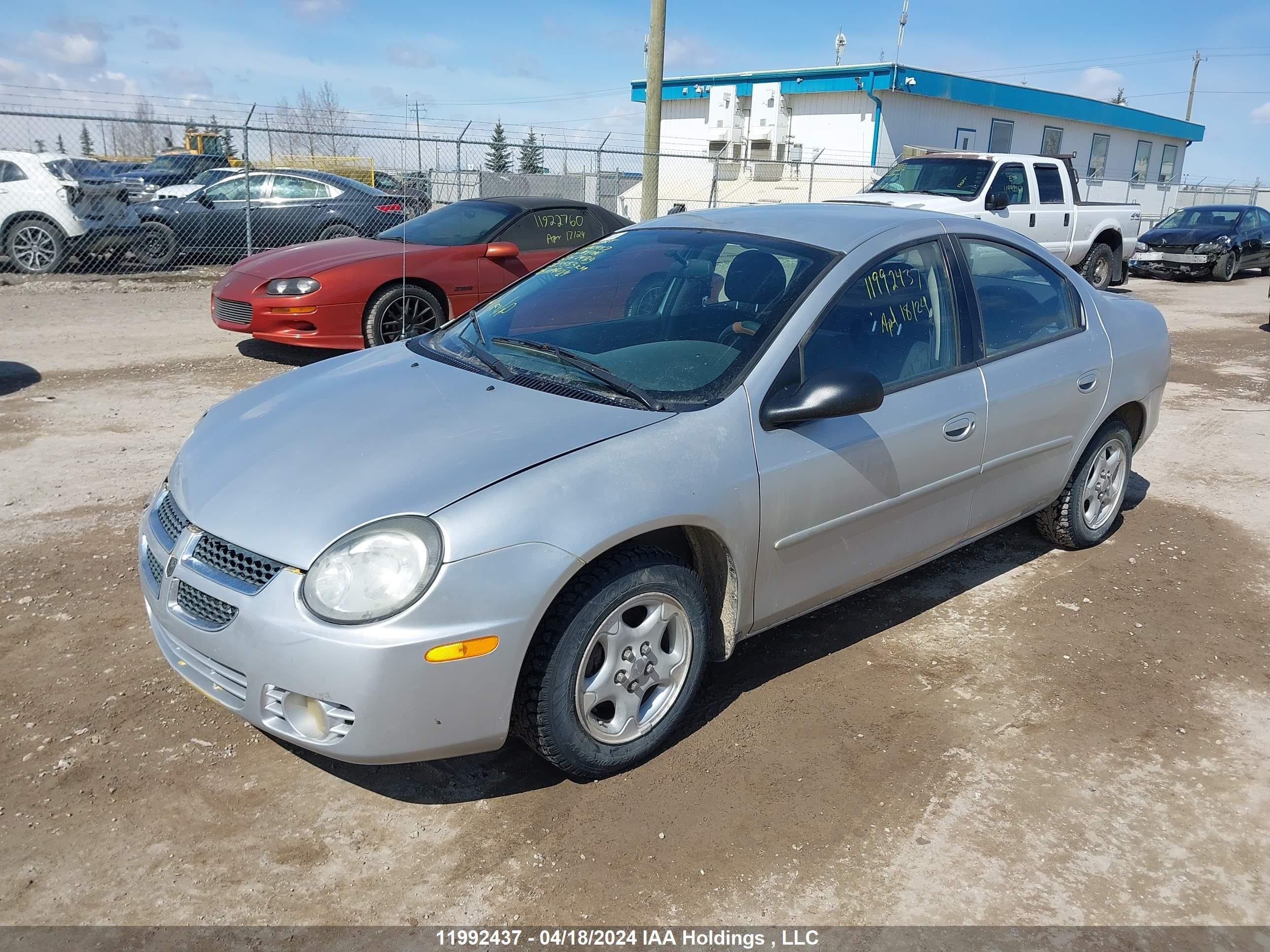 Photo 1 VIN: 1B3ES46C43D157439 - DODGE NEON 