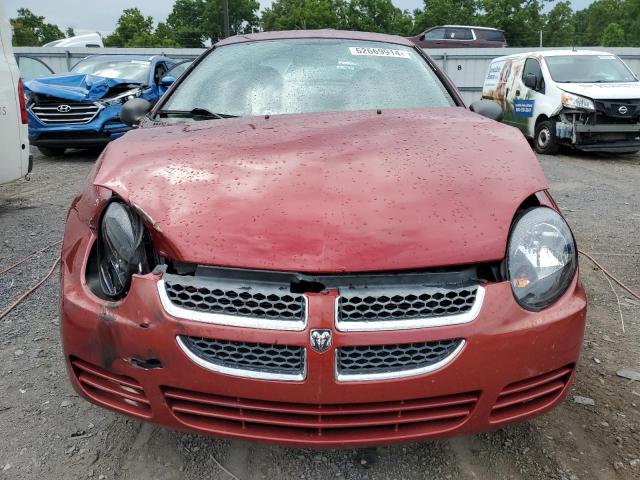 Photo 4 VIN: 1B3ES56C05D156944 - DODGE NEON 