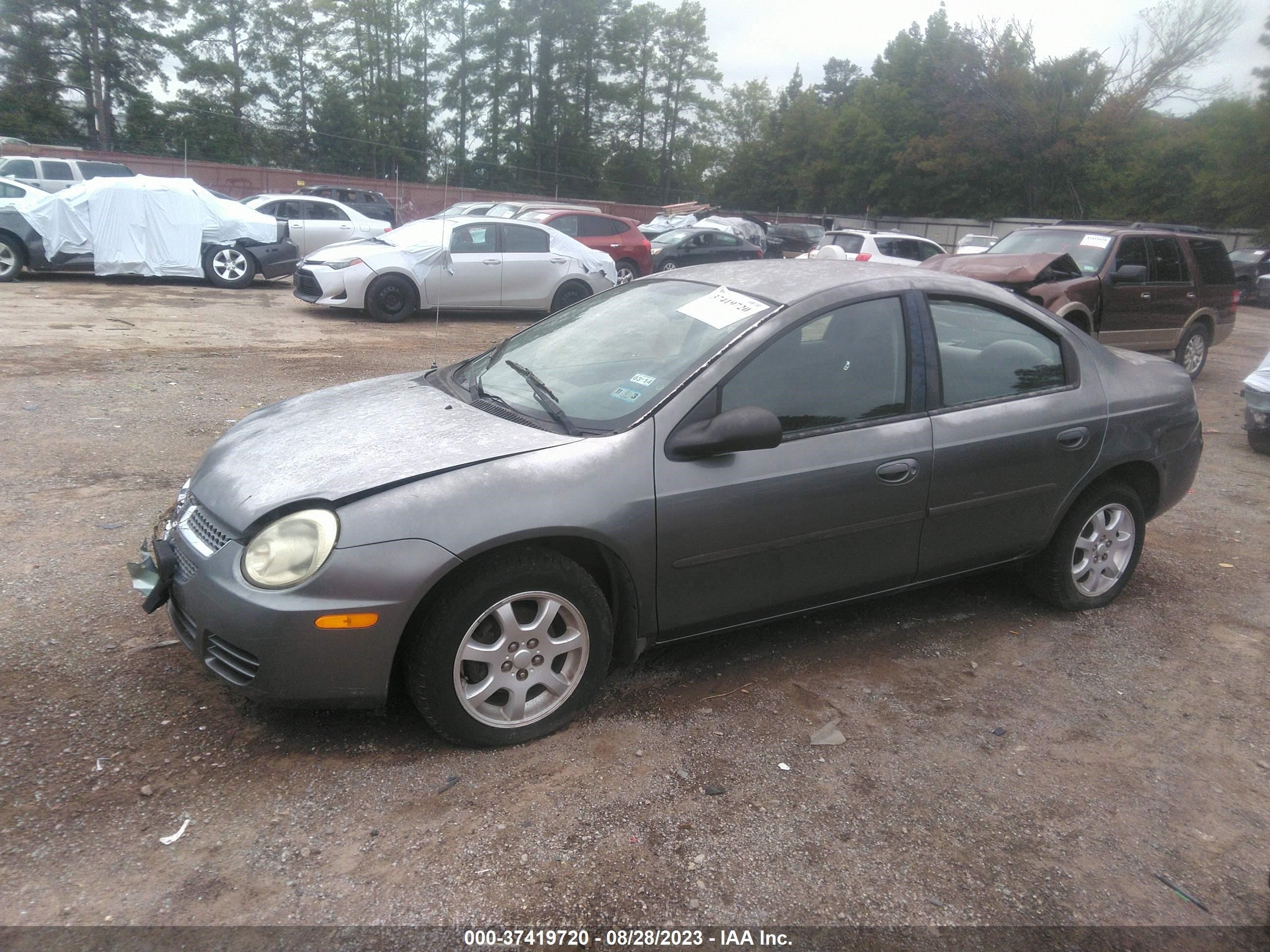 Photo 1 VIN: 1B3ES56C05D205463 - DODGE NEON 