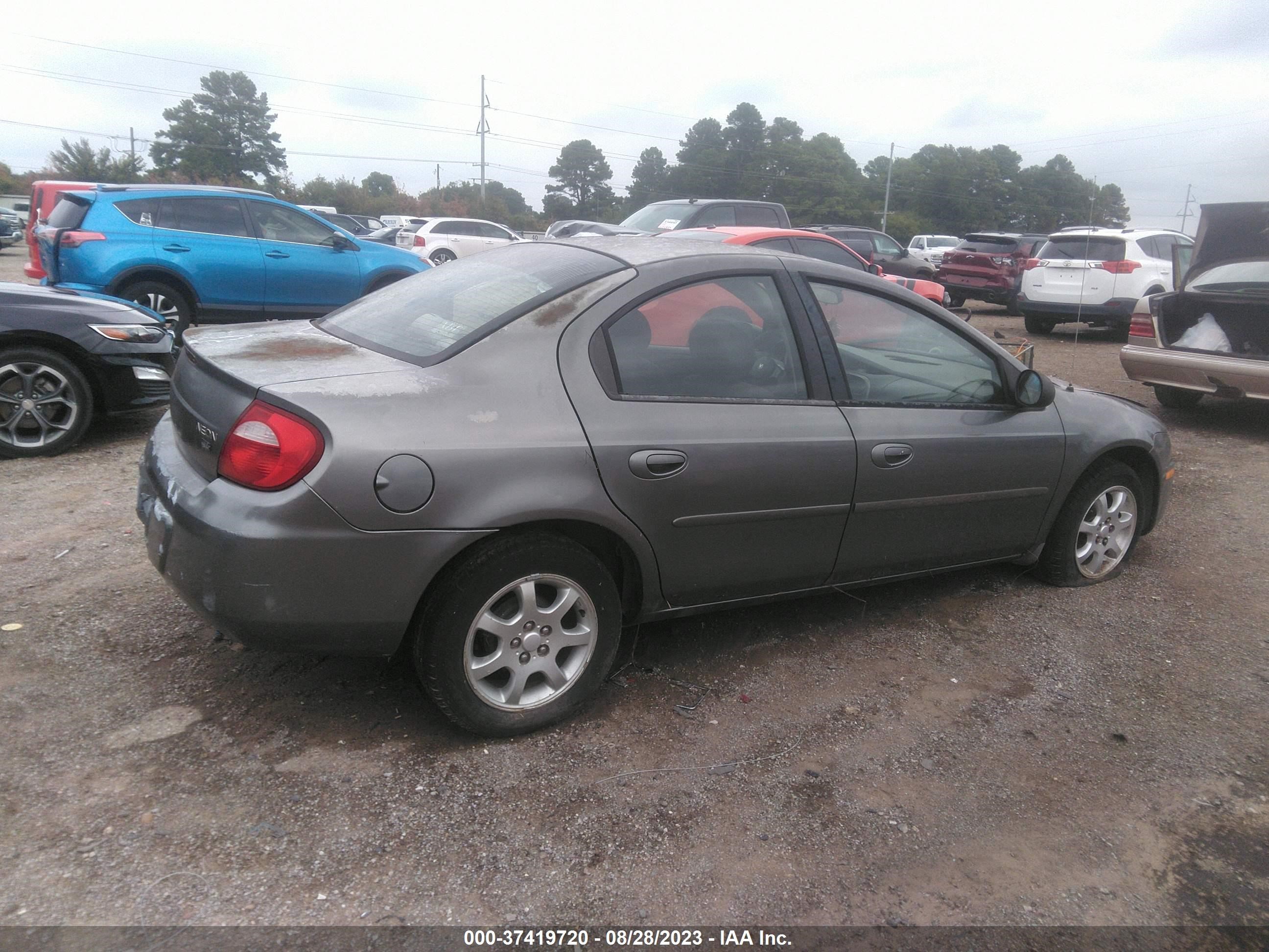 Photo 3 VIN: 1B3ES56C05D205463 - DODGE NEON 