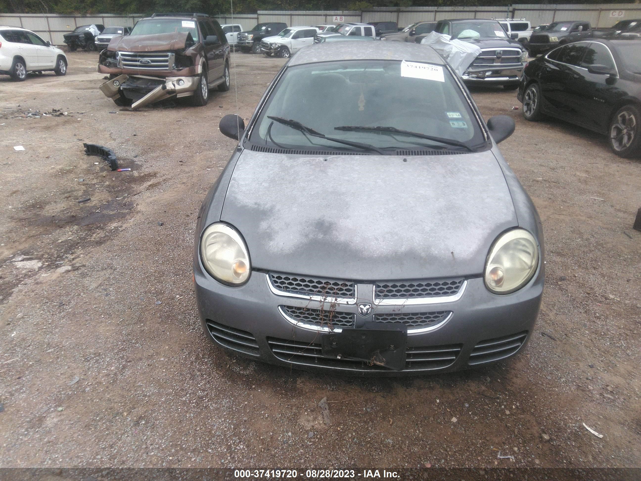 Photo 5 VIN: 1B3ES56C05D205463 - DODGE NEON 