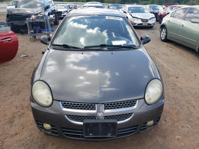 Photo 4 VIN: 1B3ES56C13D175872 - DODGE NEON 