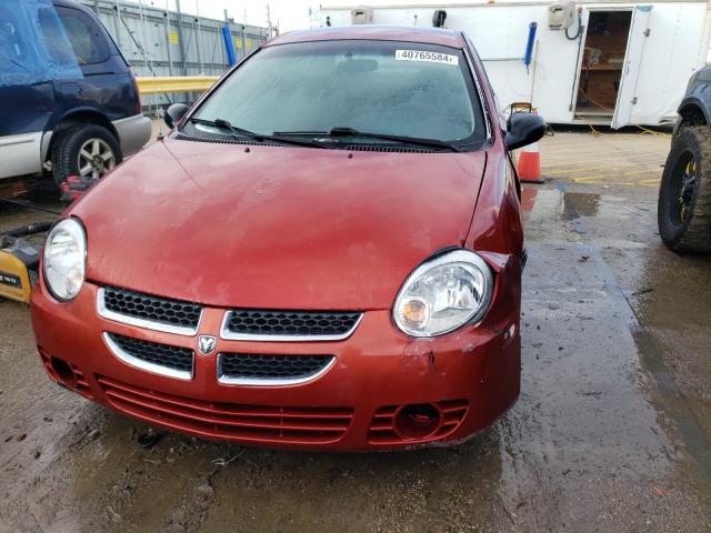 Photo 4 VIN: 1B3ES56C64D561639 - DODGE NEON 