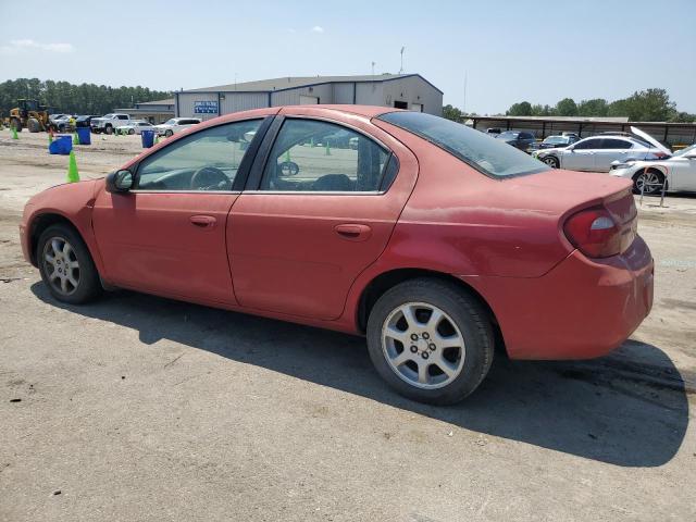 Photo 1 VIN: 1B3ES56C65D169939 - DODGE NEON SXT 