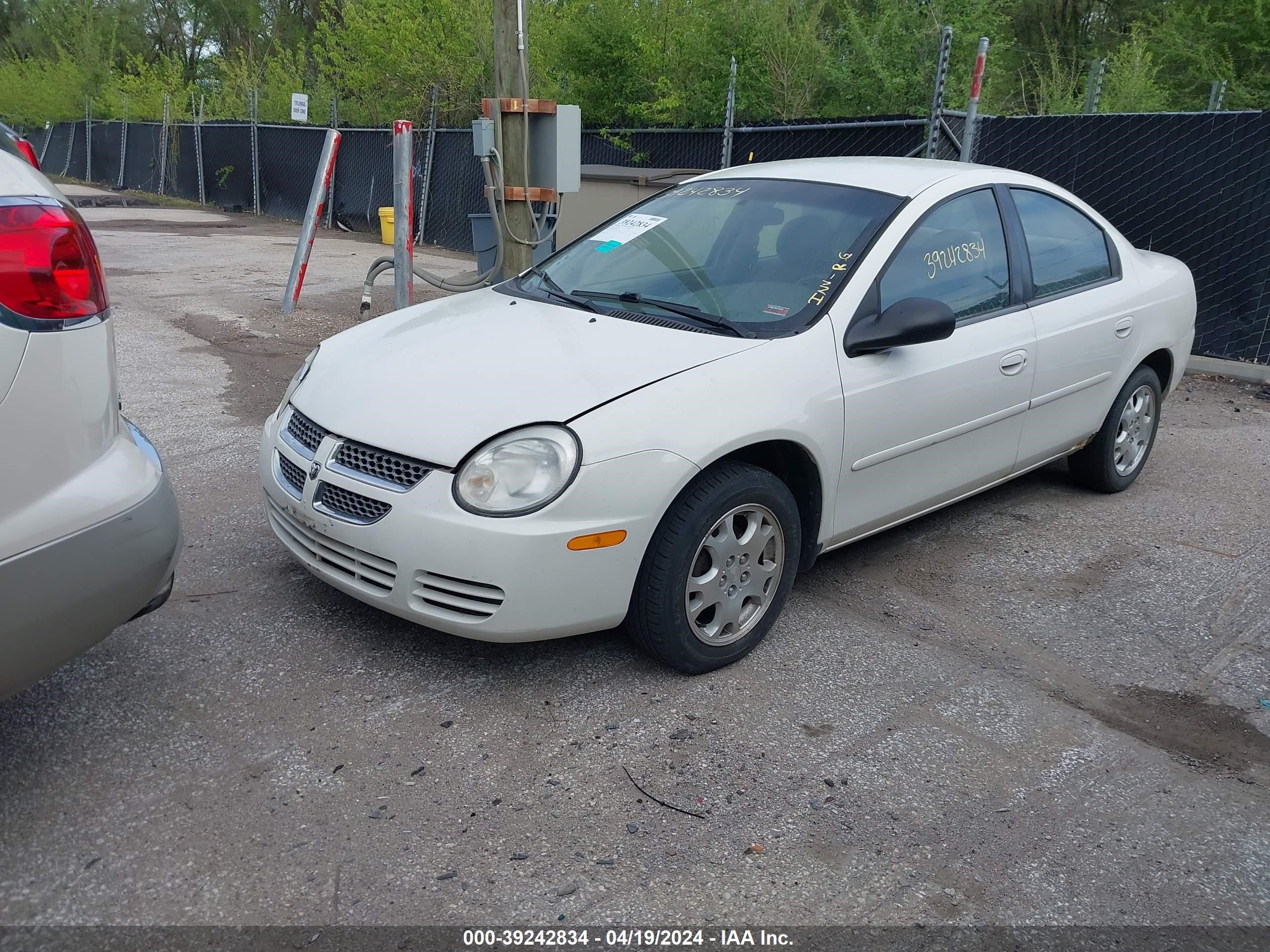 Photo 1 VIN: 1B3ES56C65D182061 - DODGE NEON 