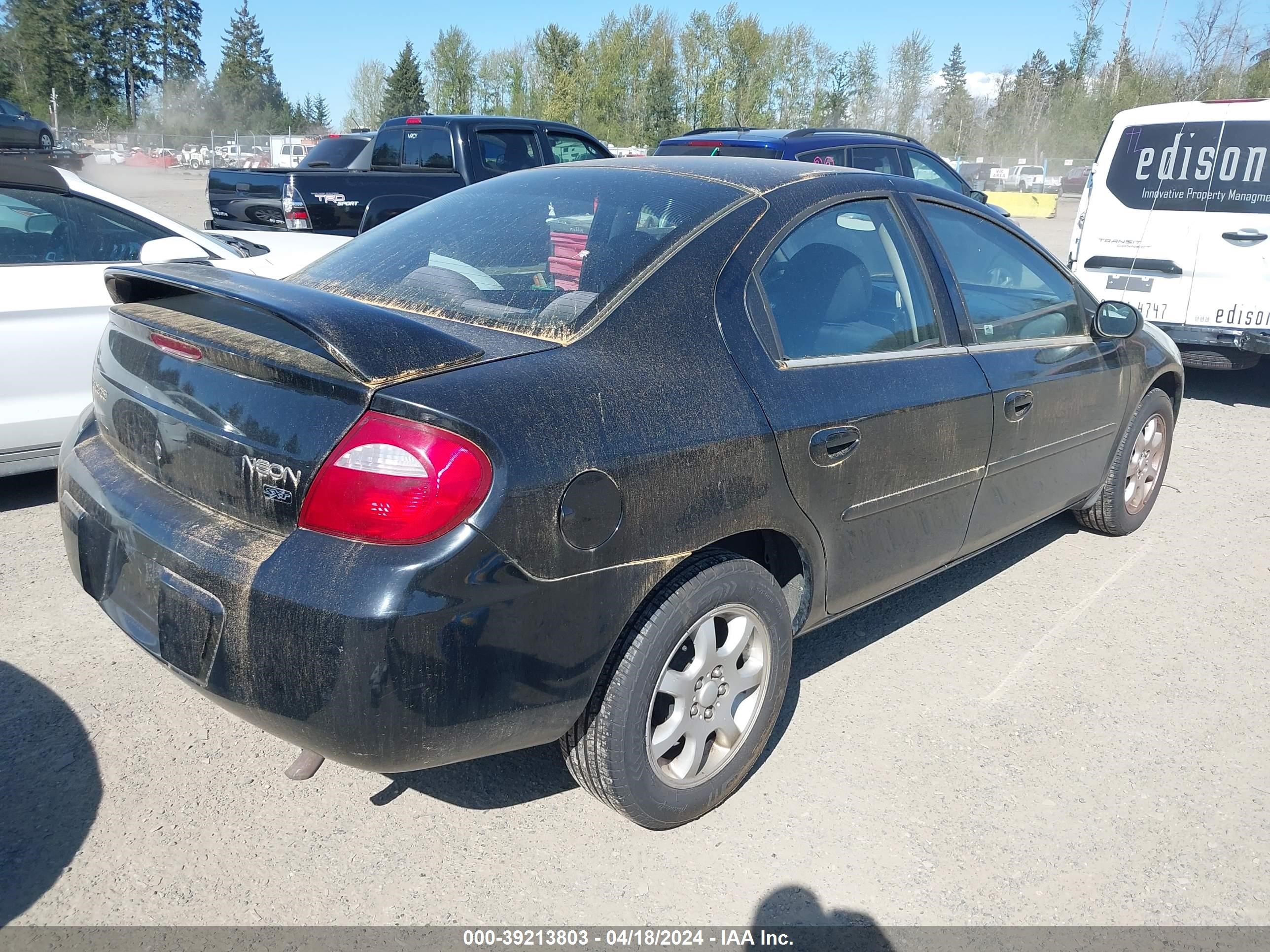 Photo 3 VIN: 1B3ES56C65D243876 - DODGE NEON 