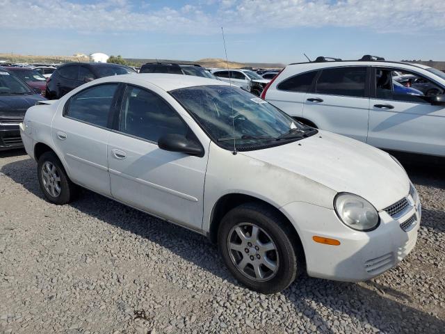 Photo 3 VIN: 1B3ES56C75D159176 - DODGE NEON 