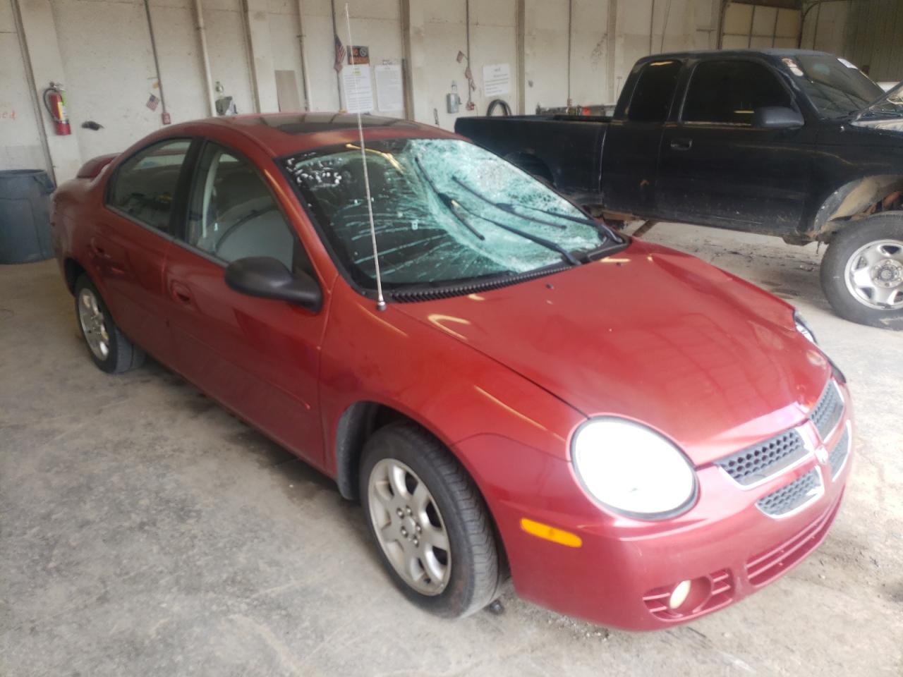 Photo 3 VIN: 1B3ES56C83D249448 - DODGE NEON 